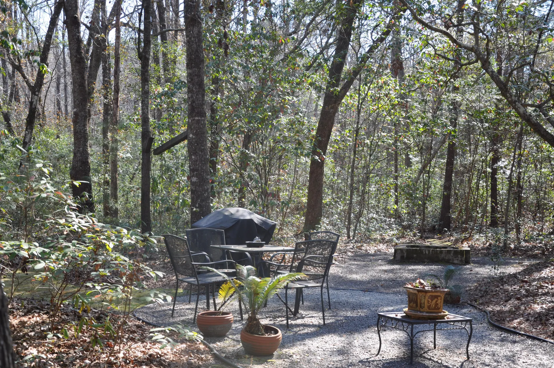 Property image 4 at 6321 Bears Bluff Road, Wadmalaw Island, SC 29487