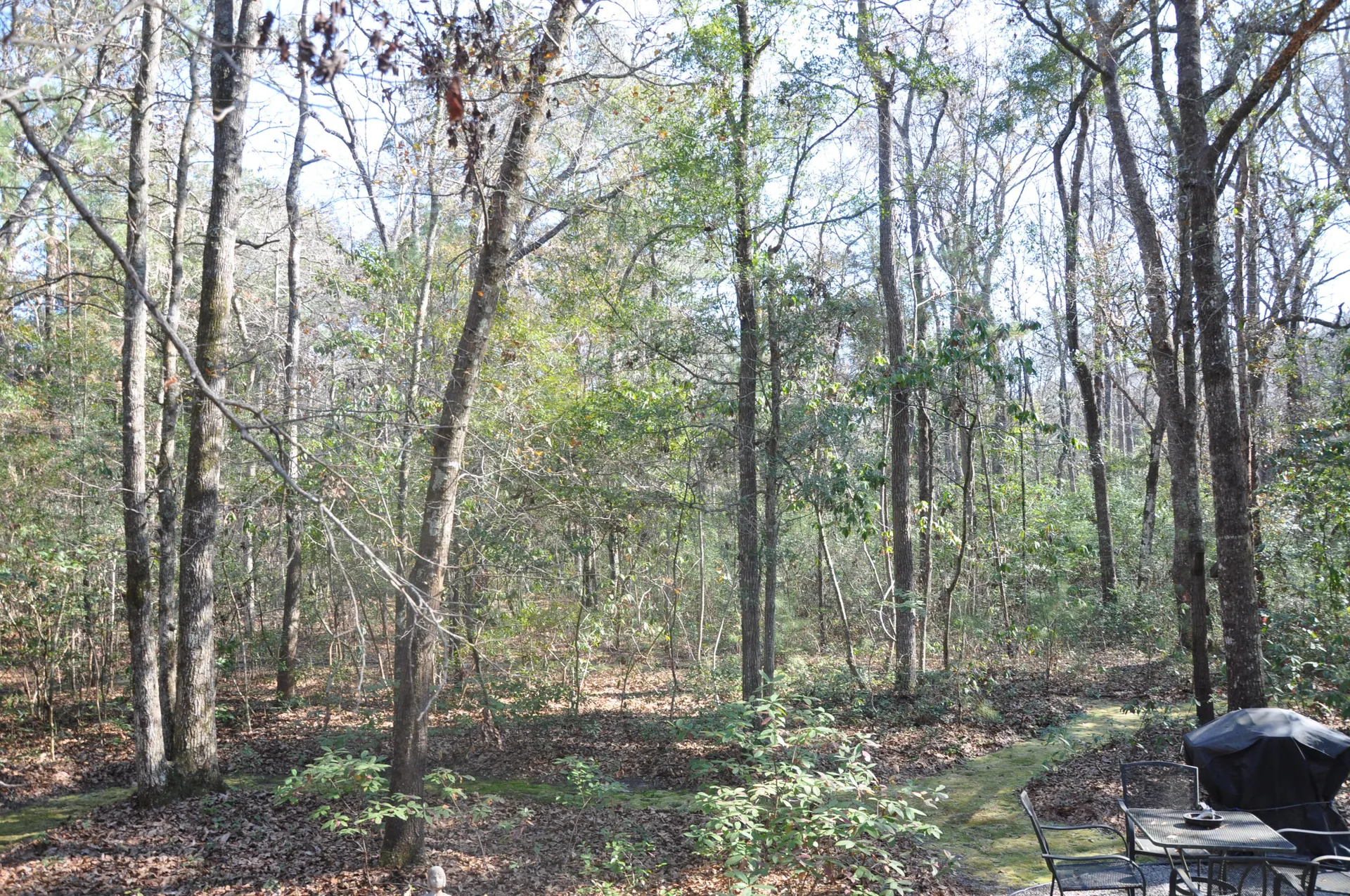 Property image 5 at 6321 Bears Bluff Road, Wadmalaw Island, SC 29487