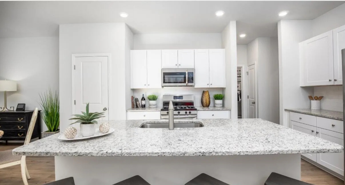 Property image 3 at 347 Tiliwa Street, Summerville, SC 29486