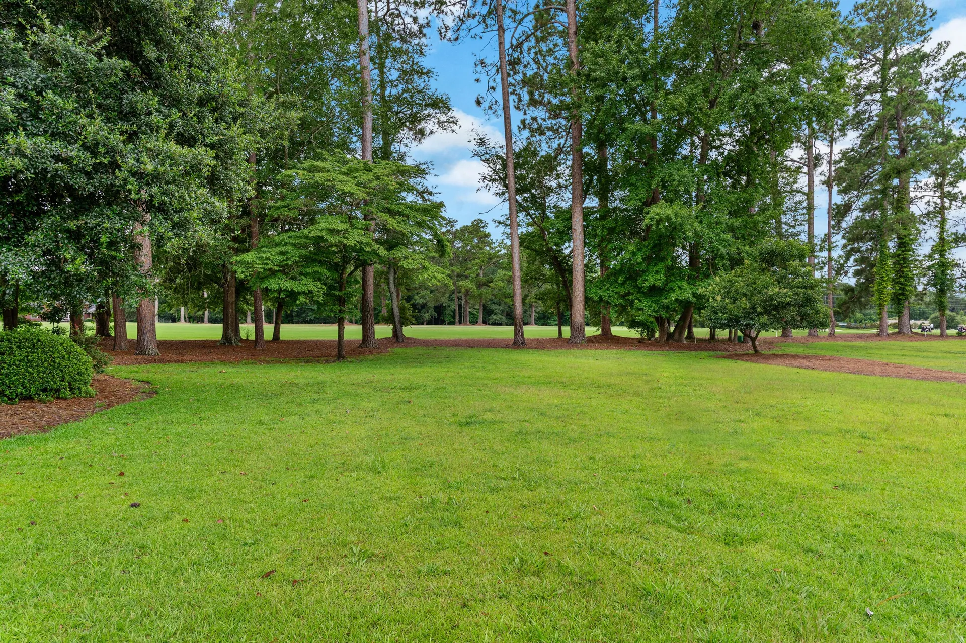 Property image 5 at 2467 Griffith Drive, Orangeburg, SC 29118