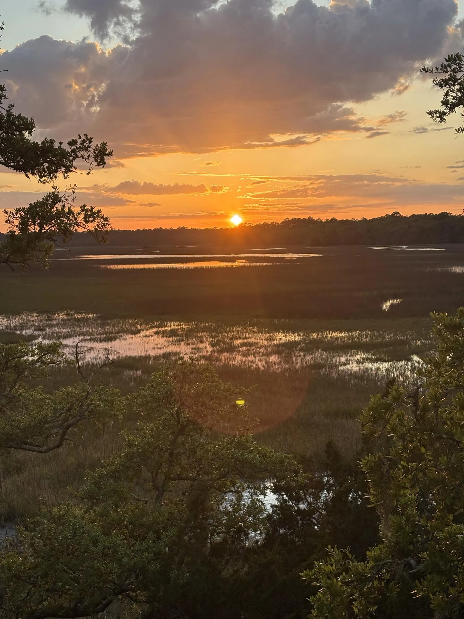 Property image 3 at 123 Jungle Road, Edisto Island, SC 29438