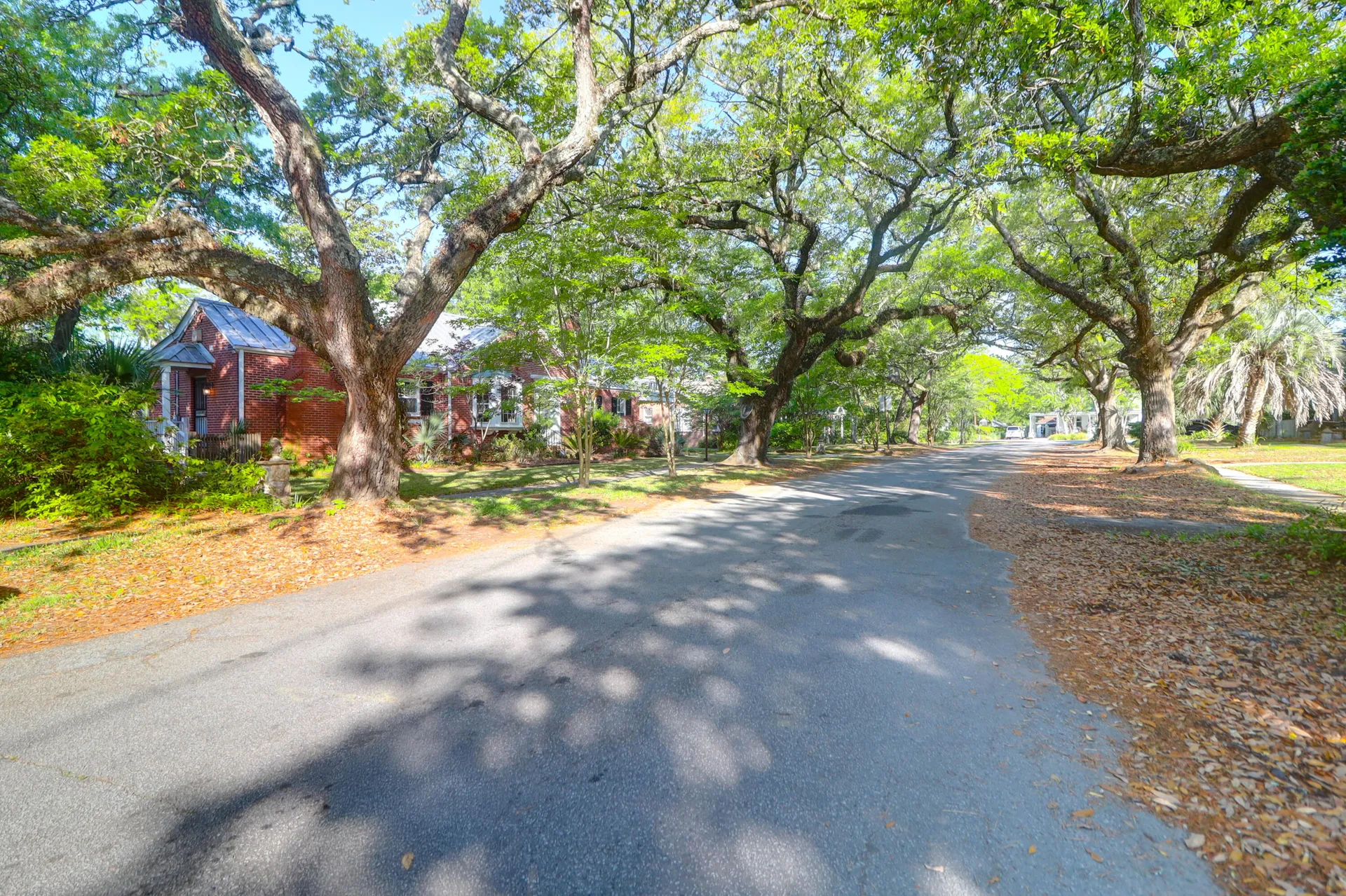 Property image 4 at 41 Berkeley Road, Charleston, SC 29407