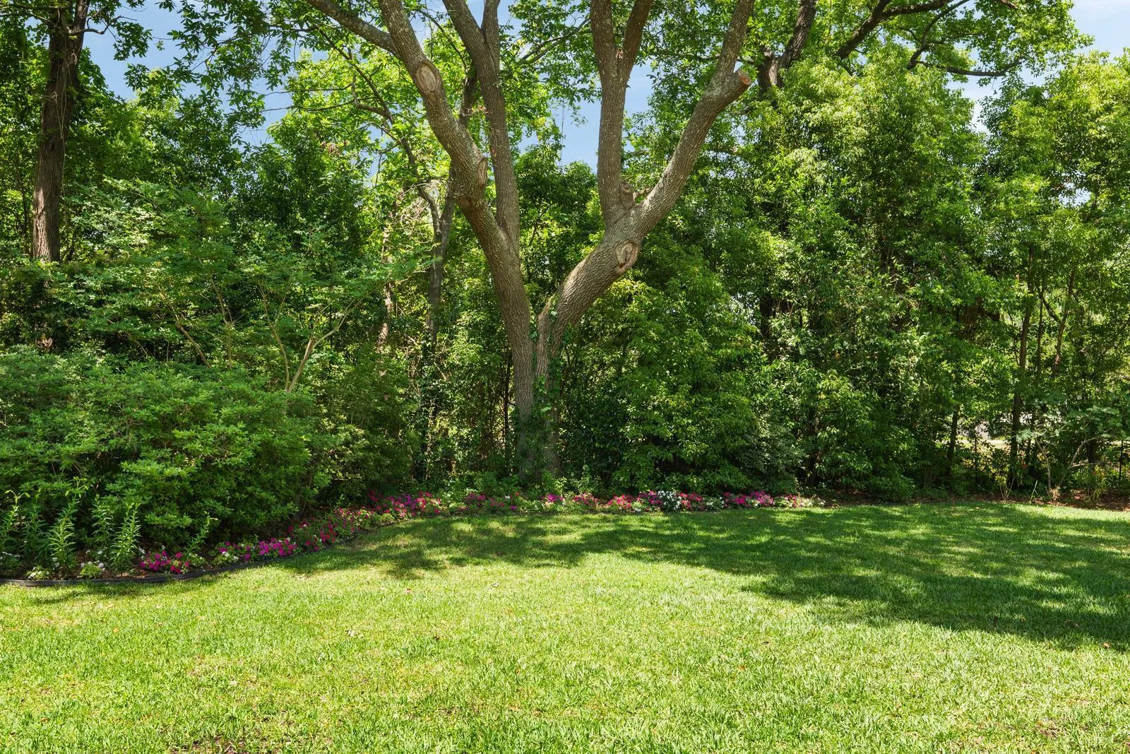 Property image 4 at 36 Nicholson Street, Charleston, SC 29407