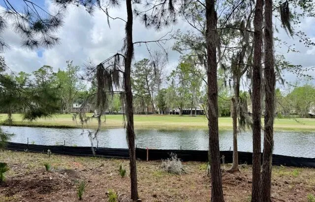 Property image 3 at 420 Carolina Cherry Court 101, Charleston, SC 29414