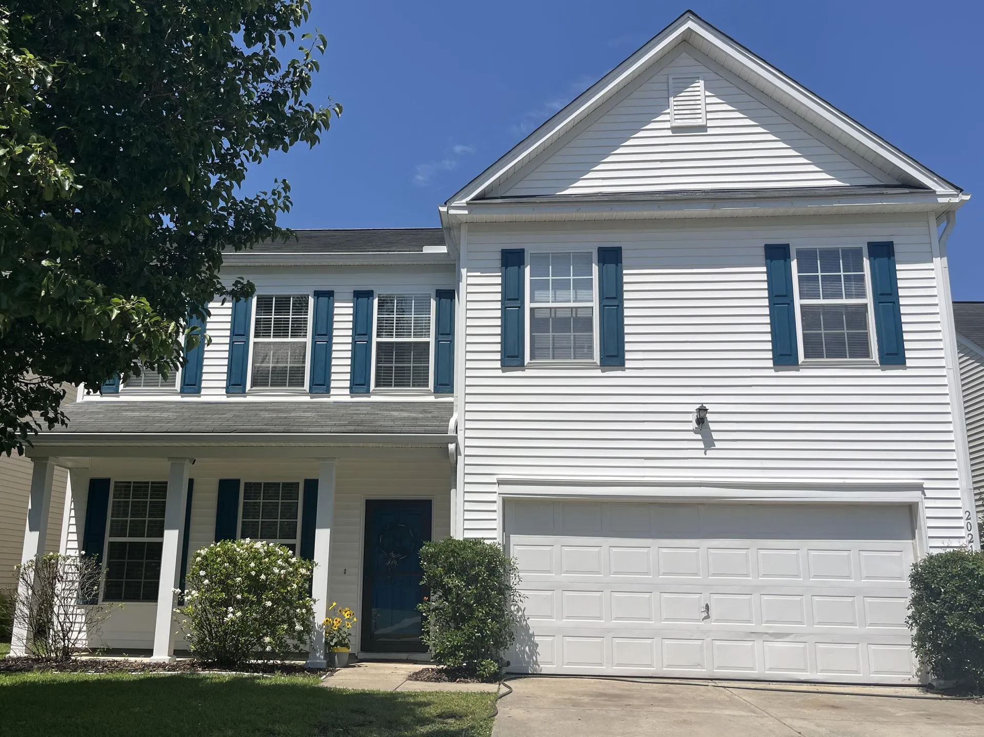 2021 Asher Loop