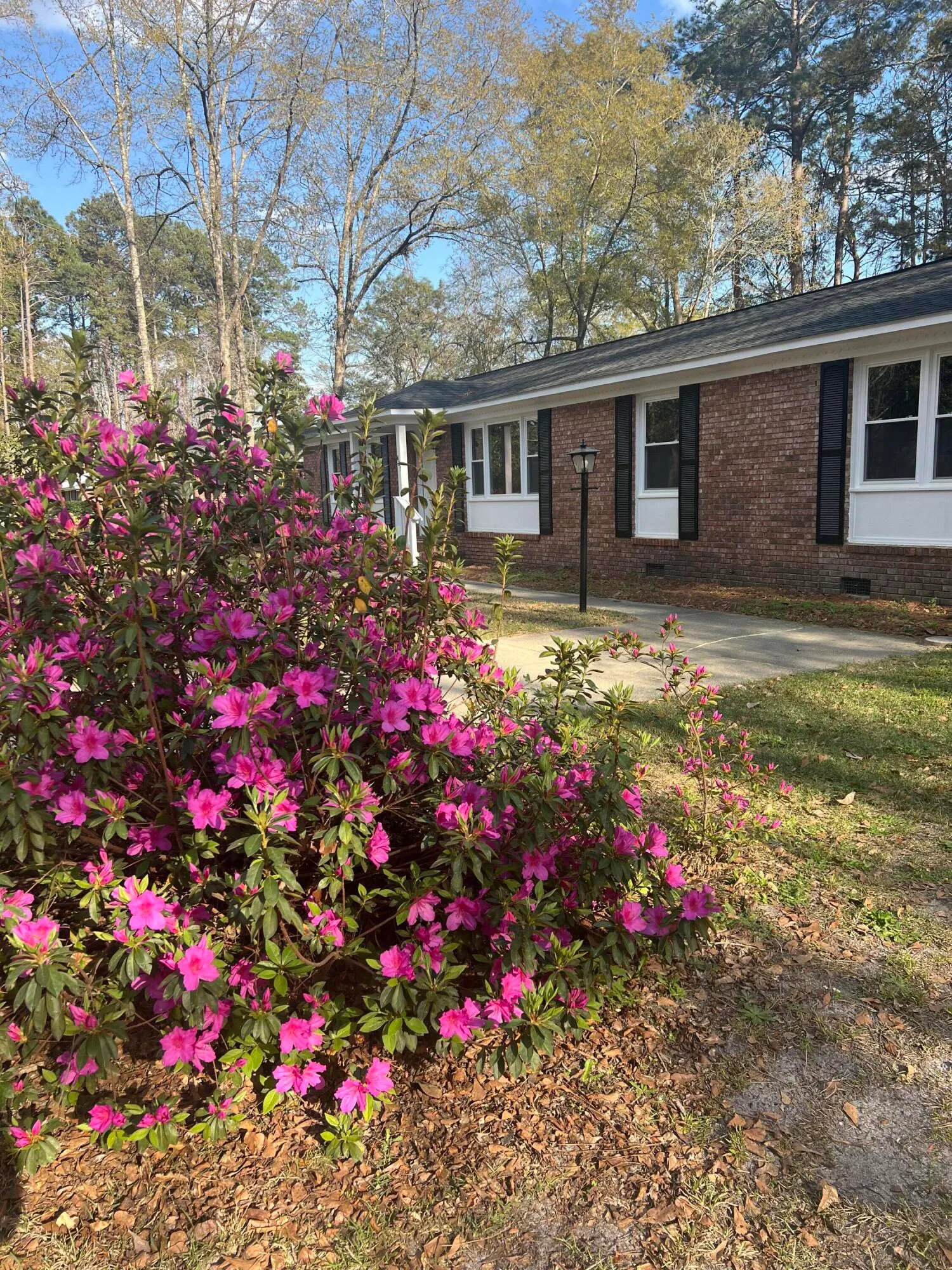 Property image 2 at 431 Otis Road, Walterboro, SC 29488