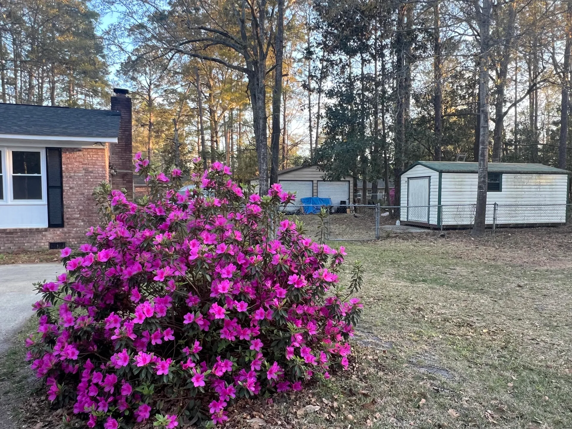 Property image 5 at 431 Otis Road, Walterboro, SC 29488