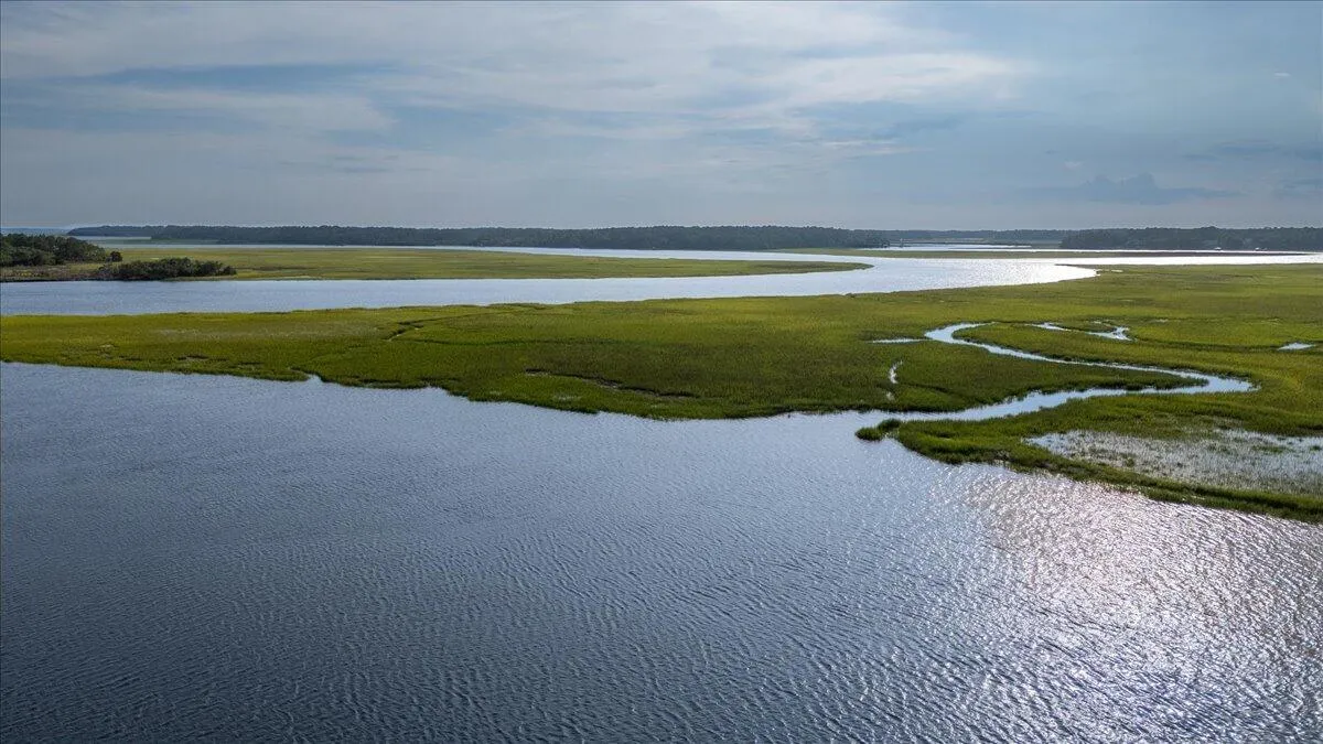 Property image 4 at 8488 Middleton Point Lane, Edisto Island, SC 29438