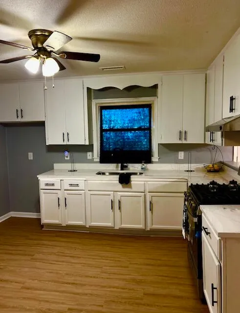 Property image 3 at 26 Elmora Avenue, Goose Creek, SC 29445