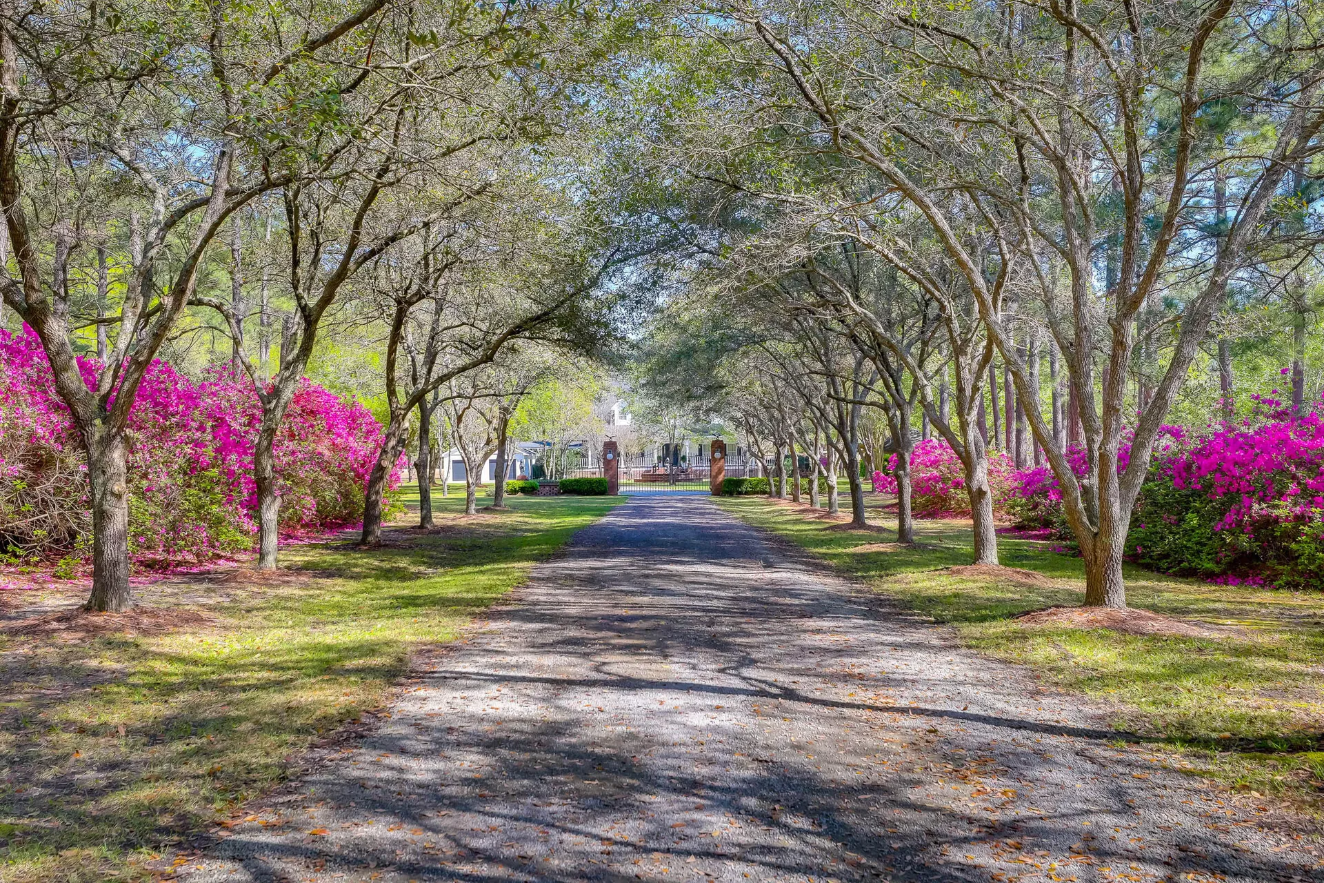 Property image 4 at 1068 Witherbee Road, Moncks Corner, SC 29461