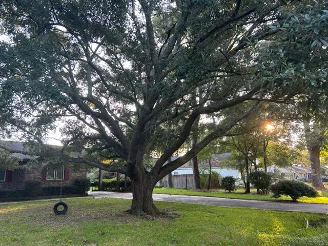 Property image 5 at 1717 Pinecrest Road, Charleston, SC 29407