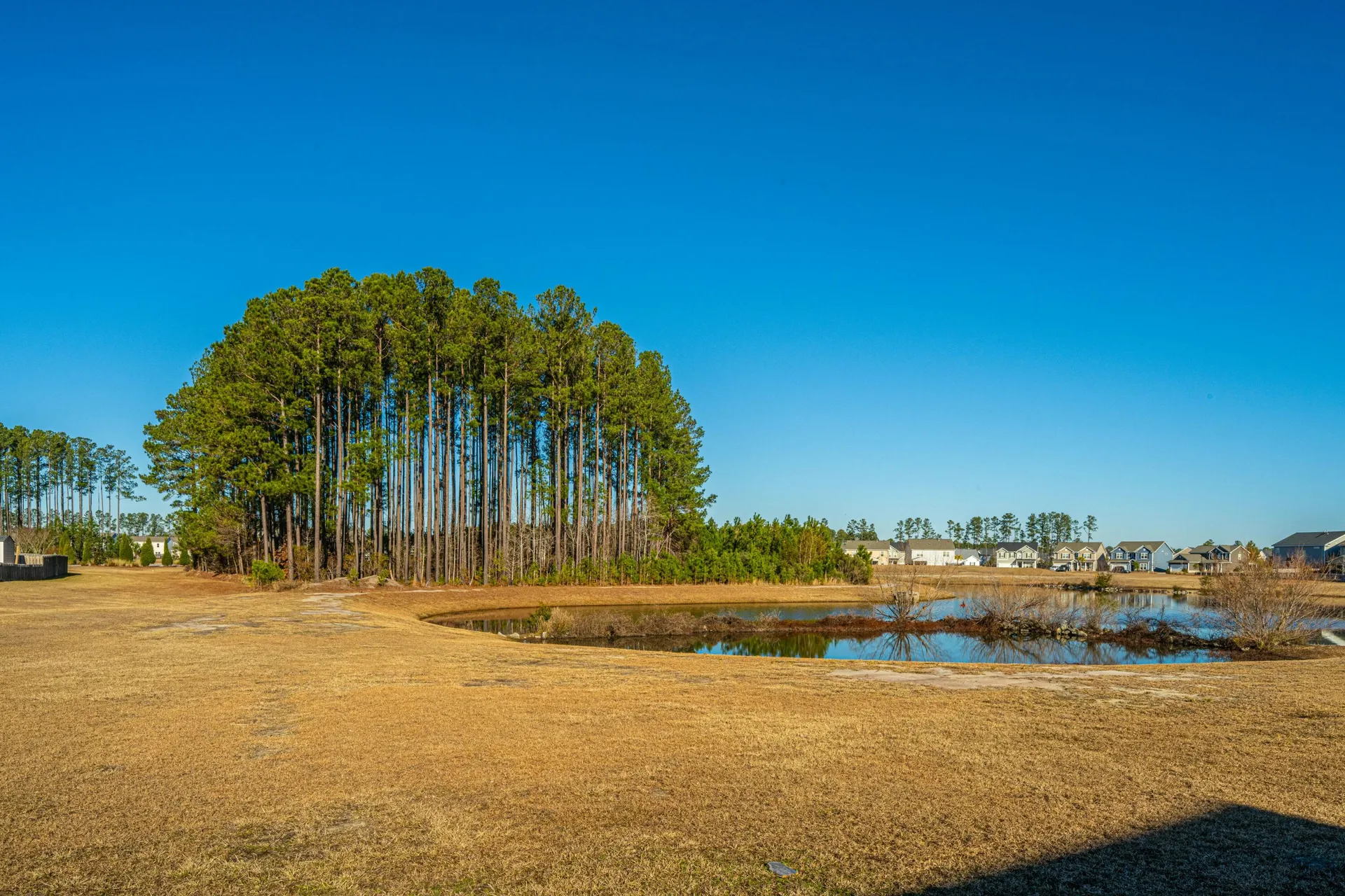Property image 2 at 394 Sanctuary Park Drive, Summerville, SC 29486