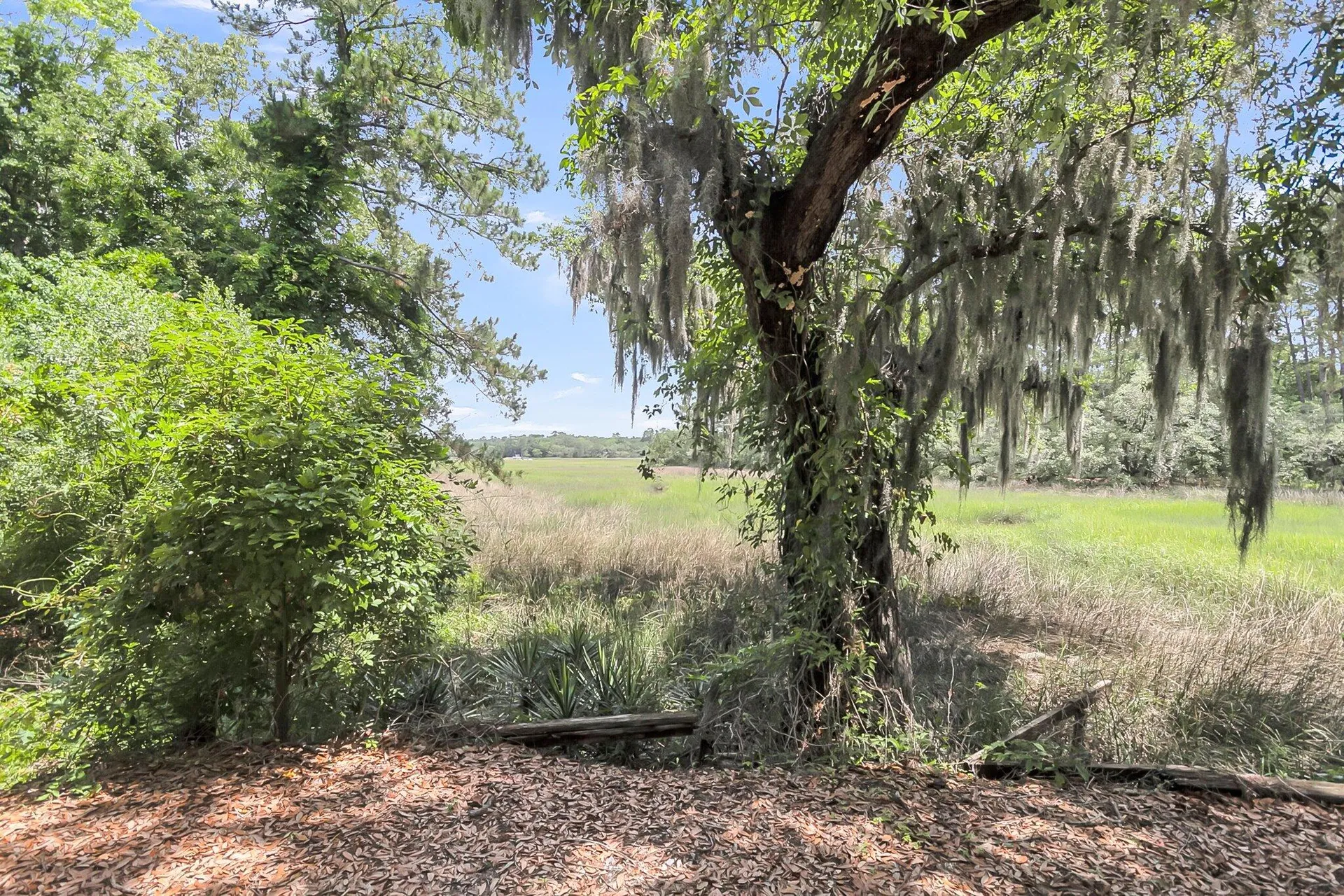 Property image 3 at 1093 Ave Of Oaks, Charleston, SC 29407