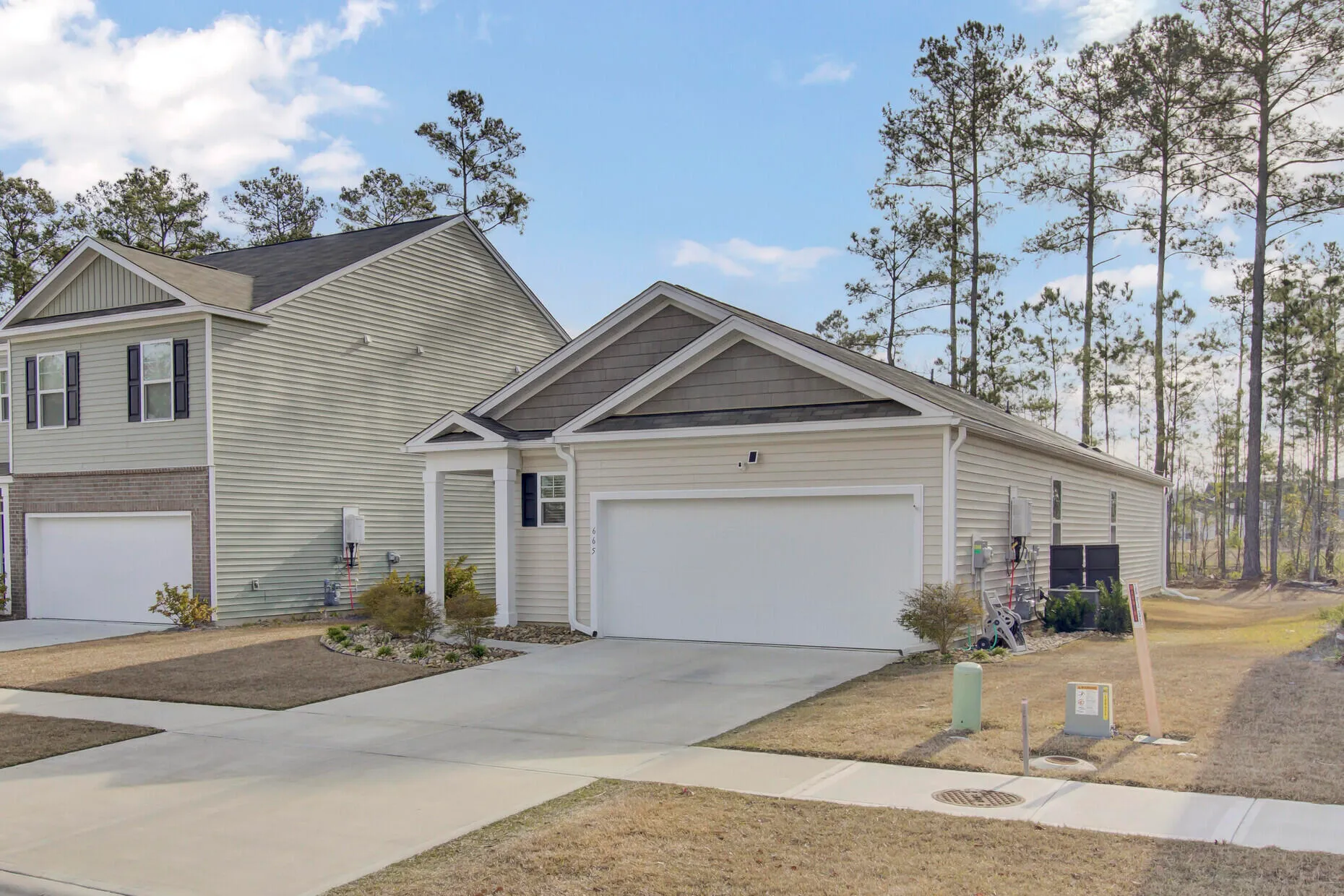 665 Silver Spruce Street