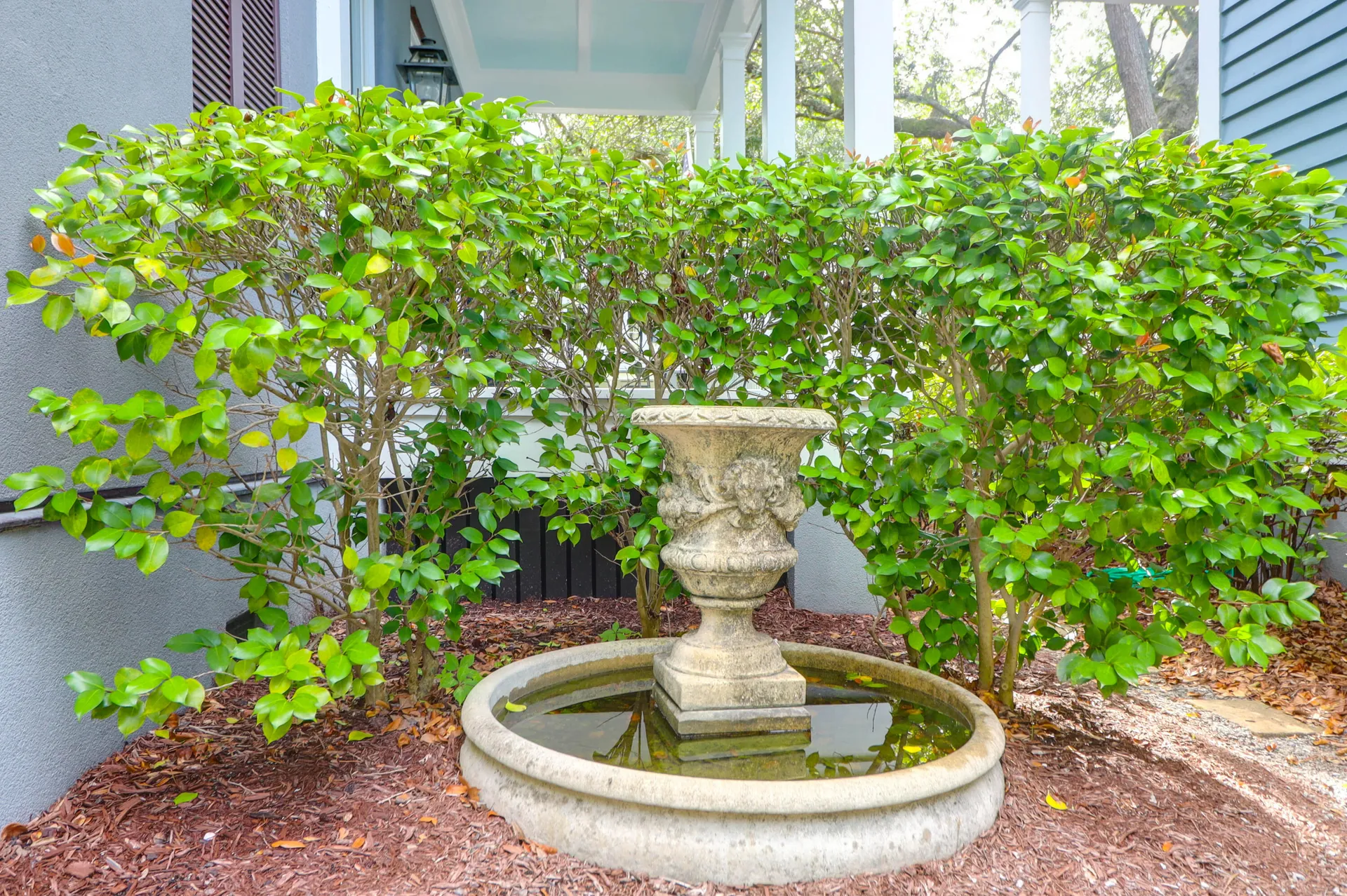 Property image 3 at 183 Ionsborough Street, Mount Pleasant, SC 29464