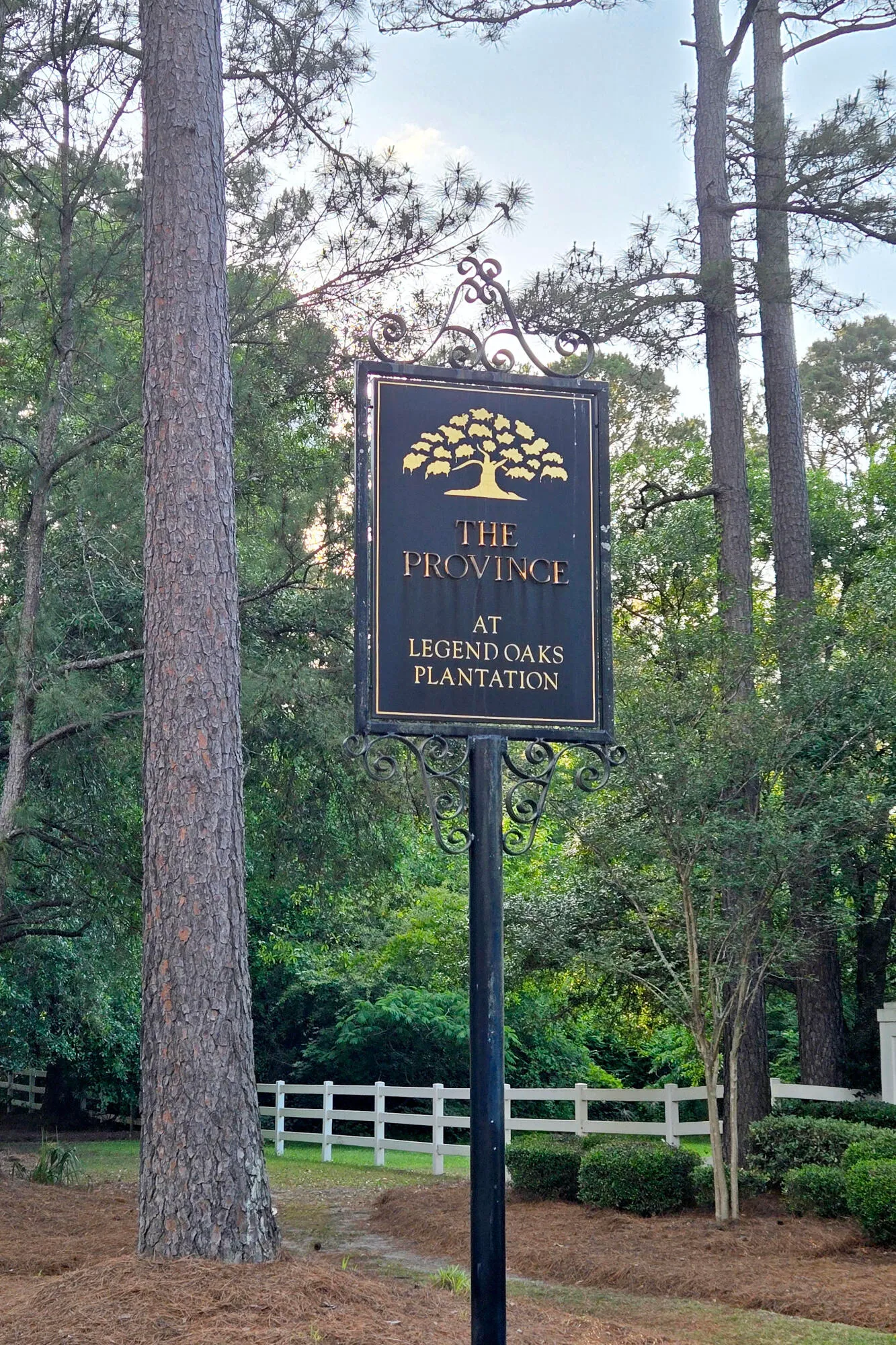 Property image 3 at 116 Marshside Drive, Summerville, SC 29485