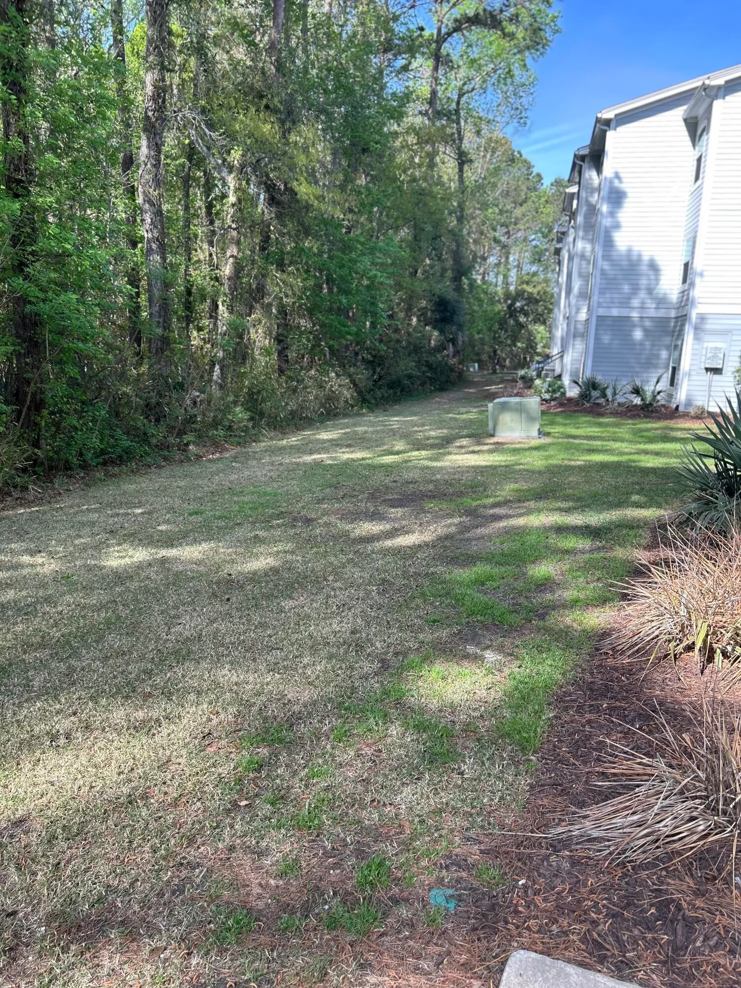 Property image 3 at 1300 Park West Boulevard 516, Mount Pleasant, SC 29466