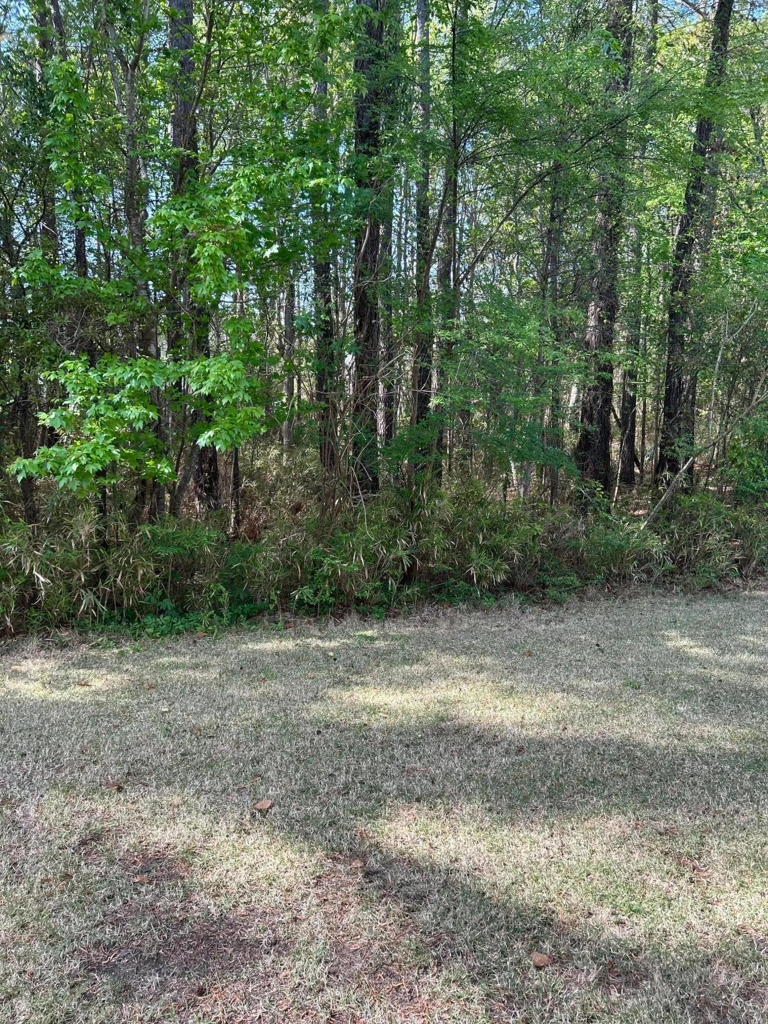 Property image 4 at 1300 Park West Boulevard 516, Mount Pleasant, SC 29466