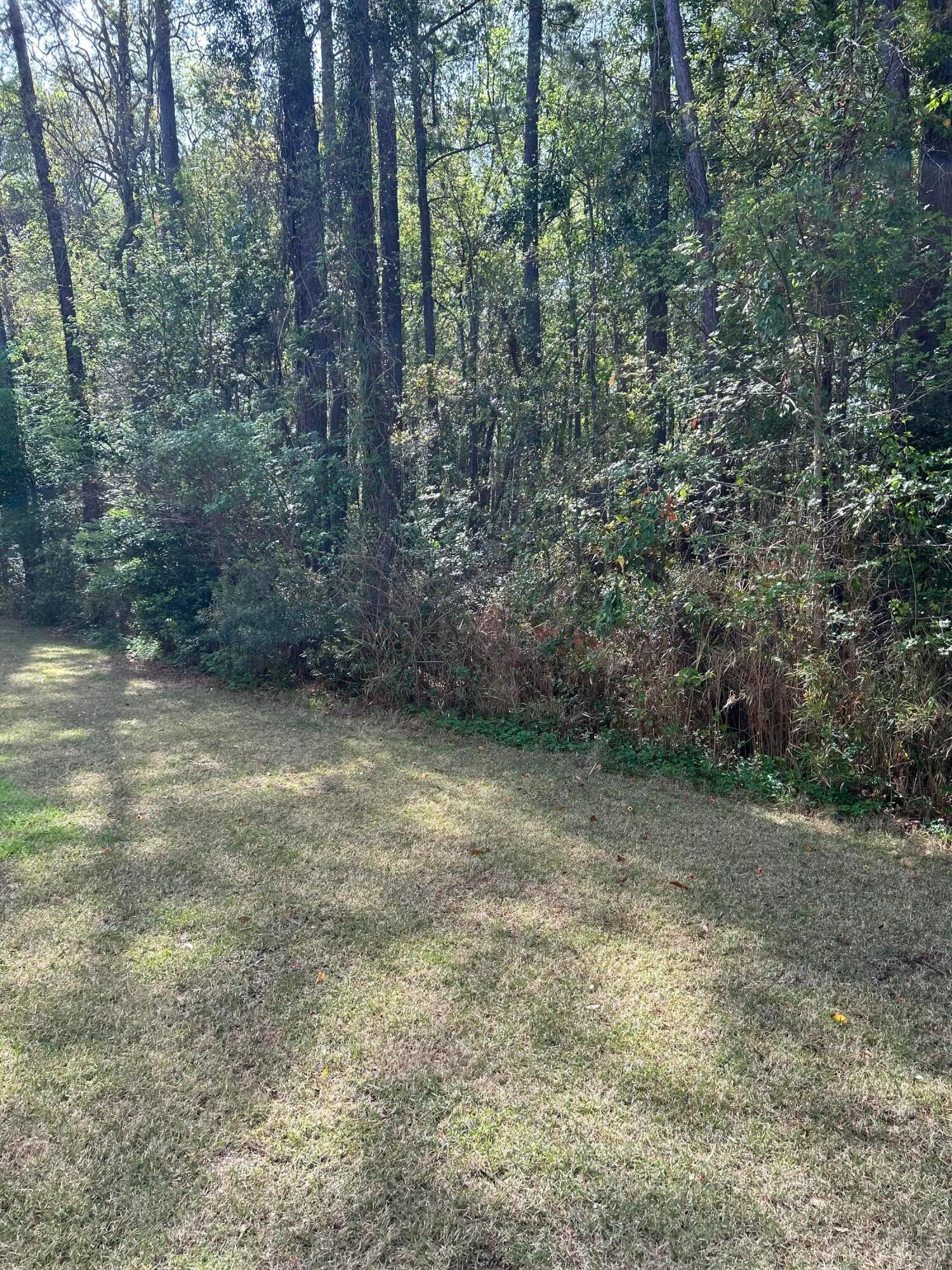 Property image 5 at 1300 Park West Boulevard 516, Mount Pleasant, SC 29466