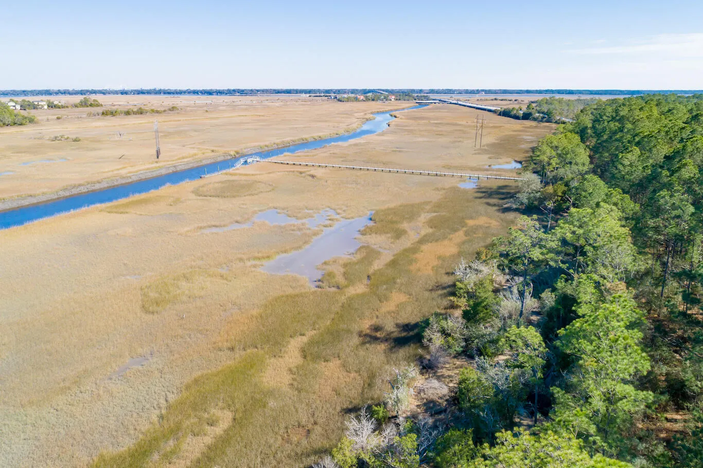 Property image 3 at 1612 Zurlo Way, Johns Island, SC 29455