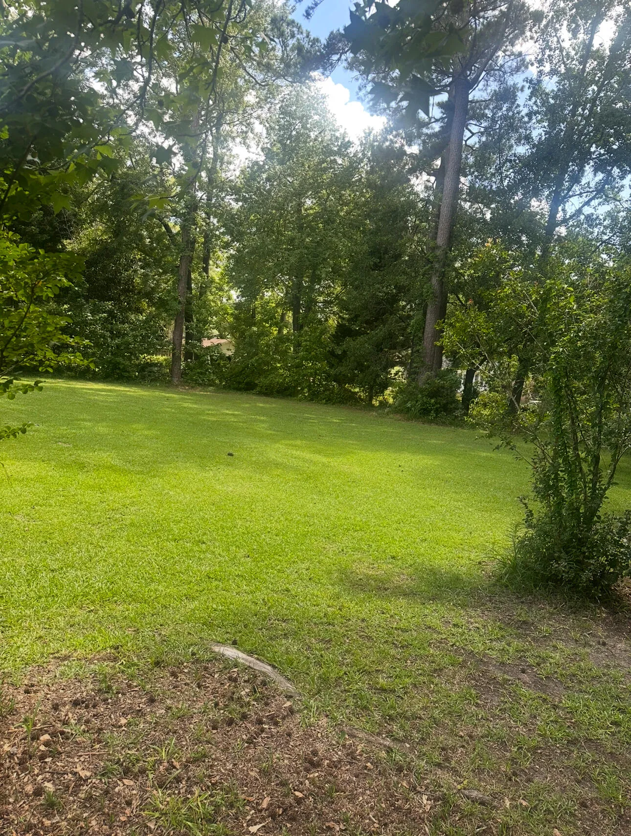 Property image 2 at 3379 Amyamanda, Orangeburg, SC 29118