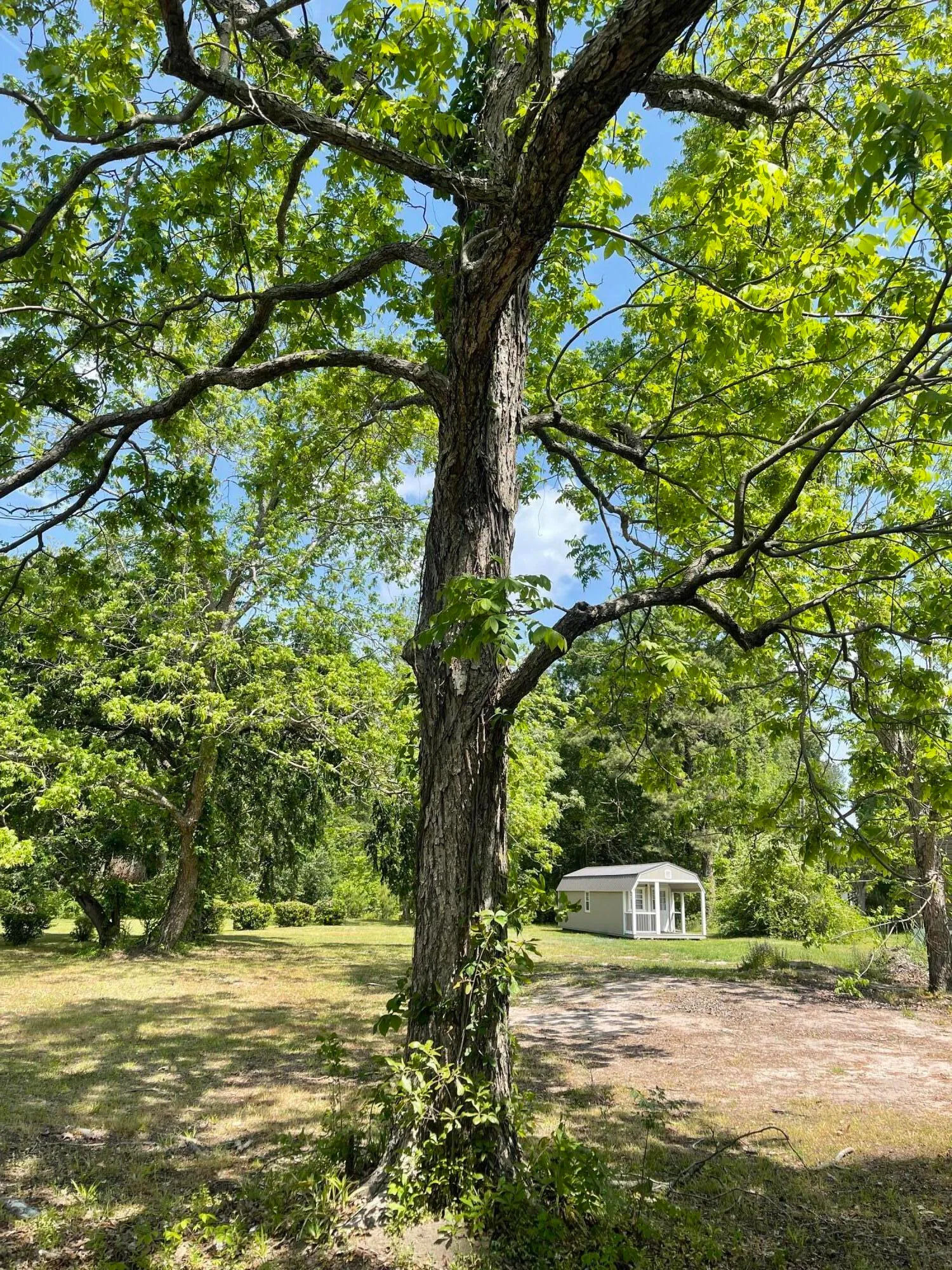 Property image 5 at 226 Collier Lane, Moncks Corner, SC 29461