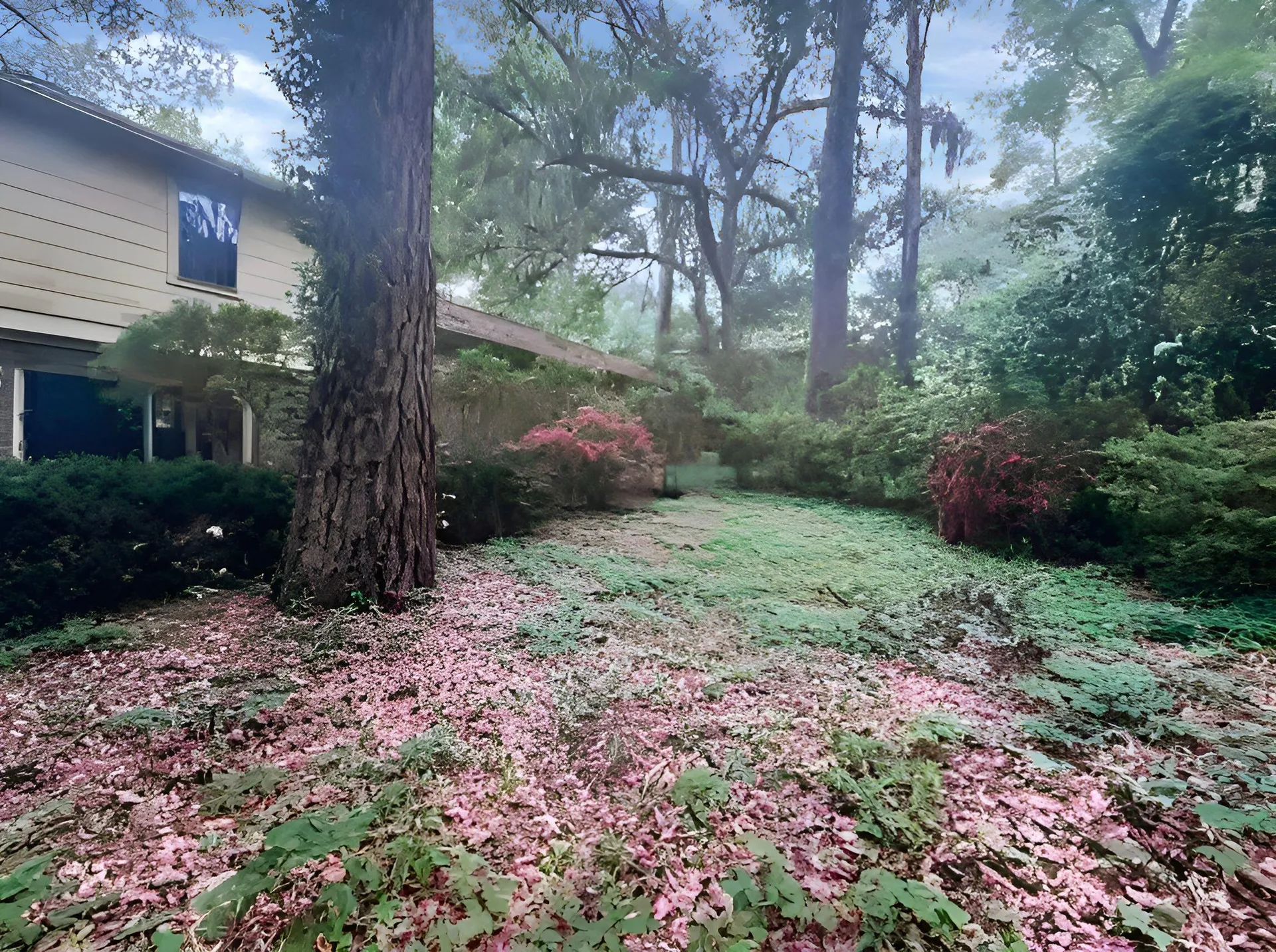 Property image 3 at 321 Fairington Drive, Summerville, SC 29485