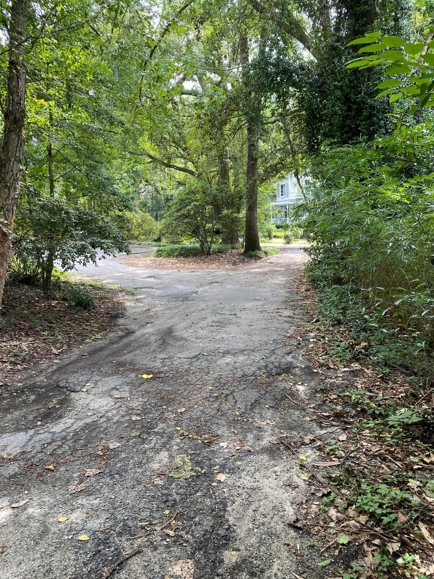 Property image 4 at 523 W Carolina Avenue, Summerville, SC 29483