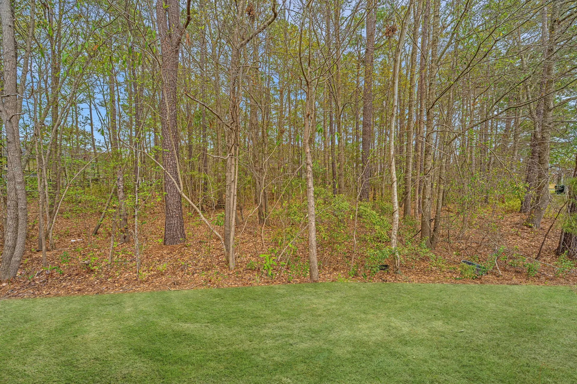 Property image 3 at 164 Buchanan Circle, Goose Creek, SC 29445