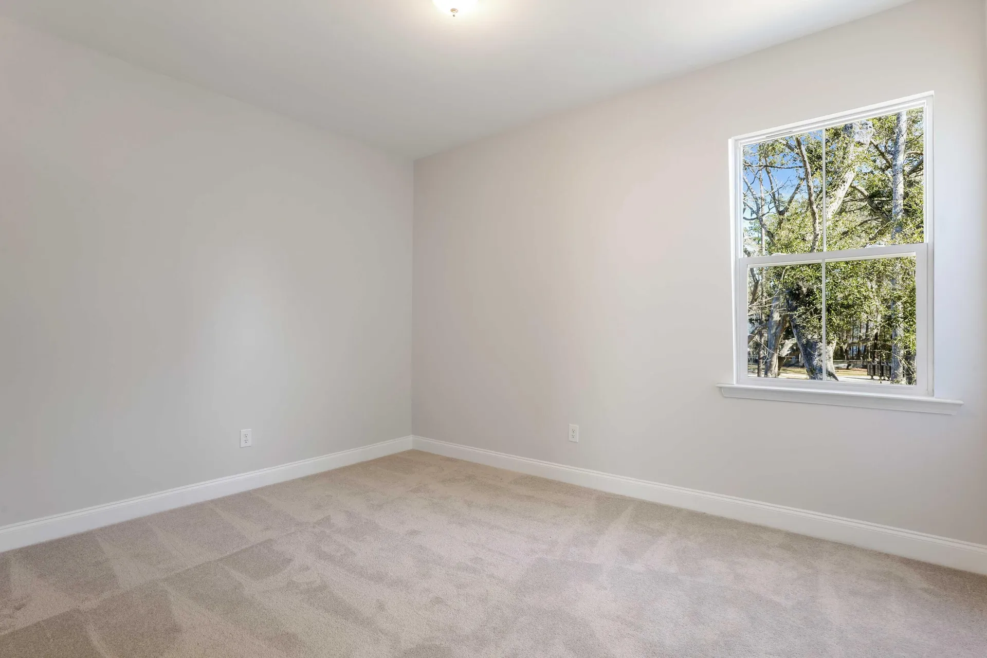 Property image 2 at 179 Claret Cup Way, Charleston, SC 29414