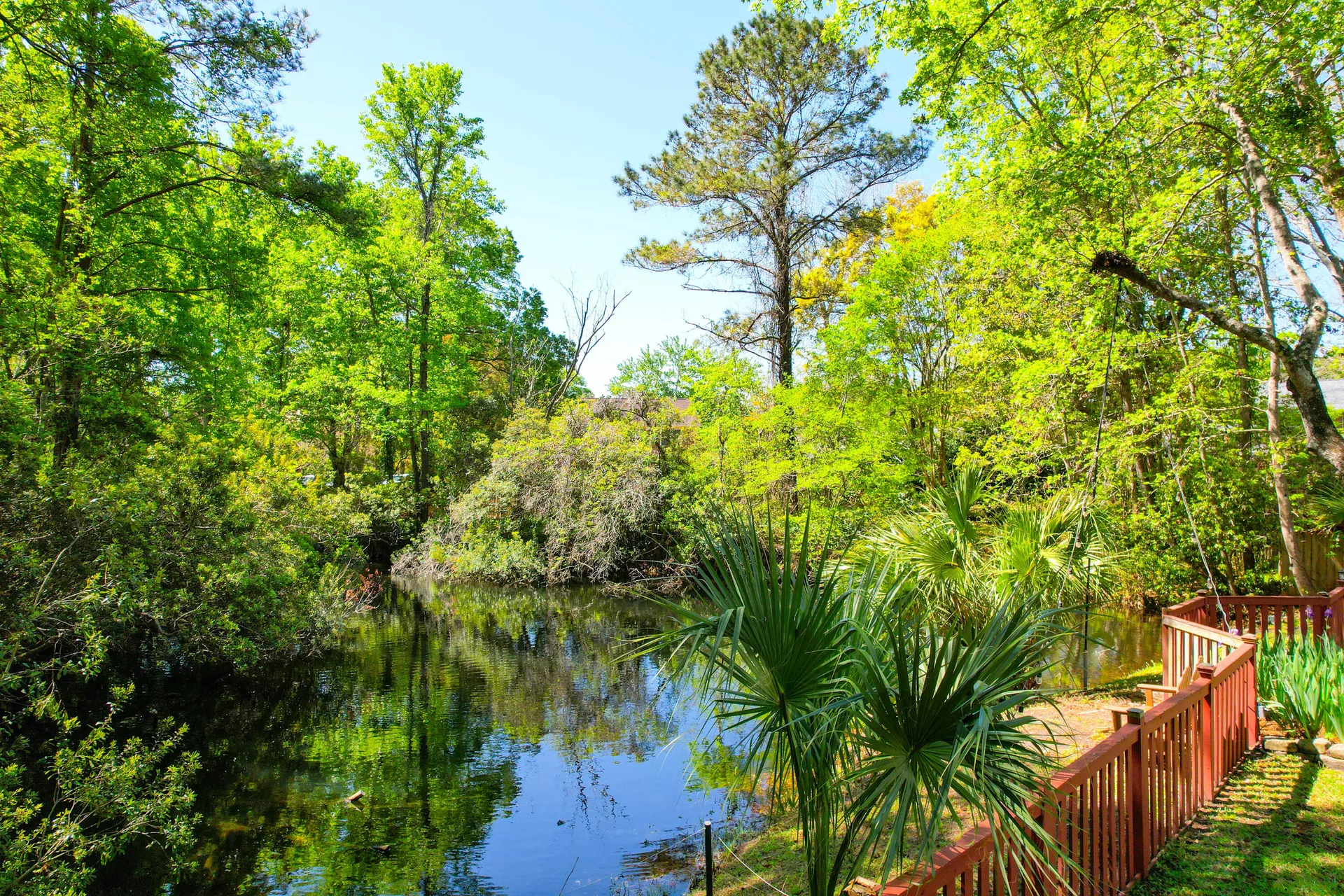 Property image 4 at 1255 Horseshoe Bend, Mount Pleasant, SC 29464