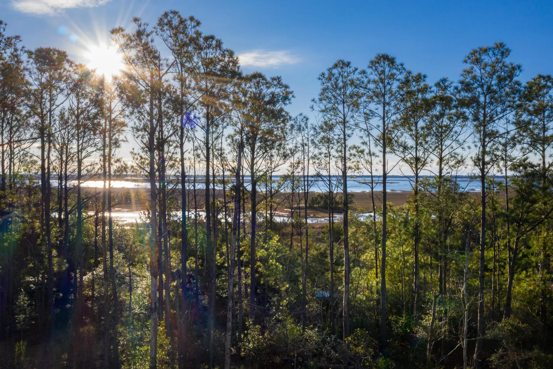 Property image 2 at 1690 Cultivation Lane 543, Mount Pleasant, SC 29466