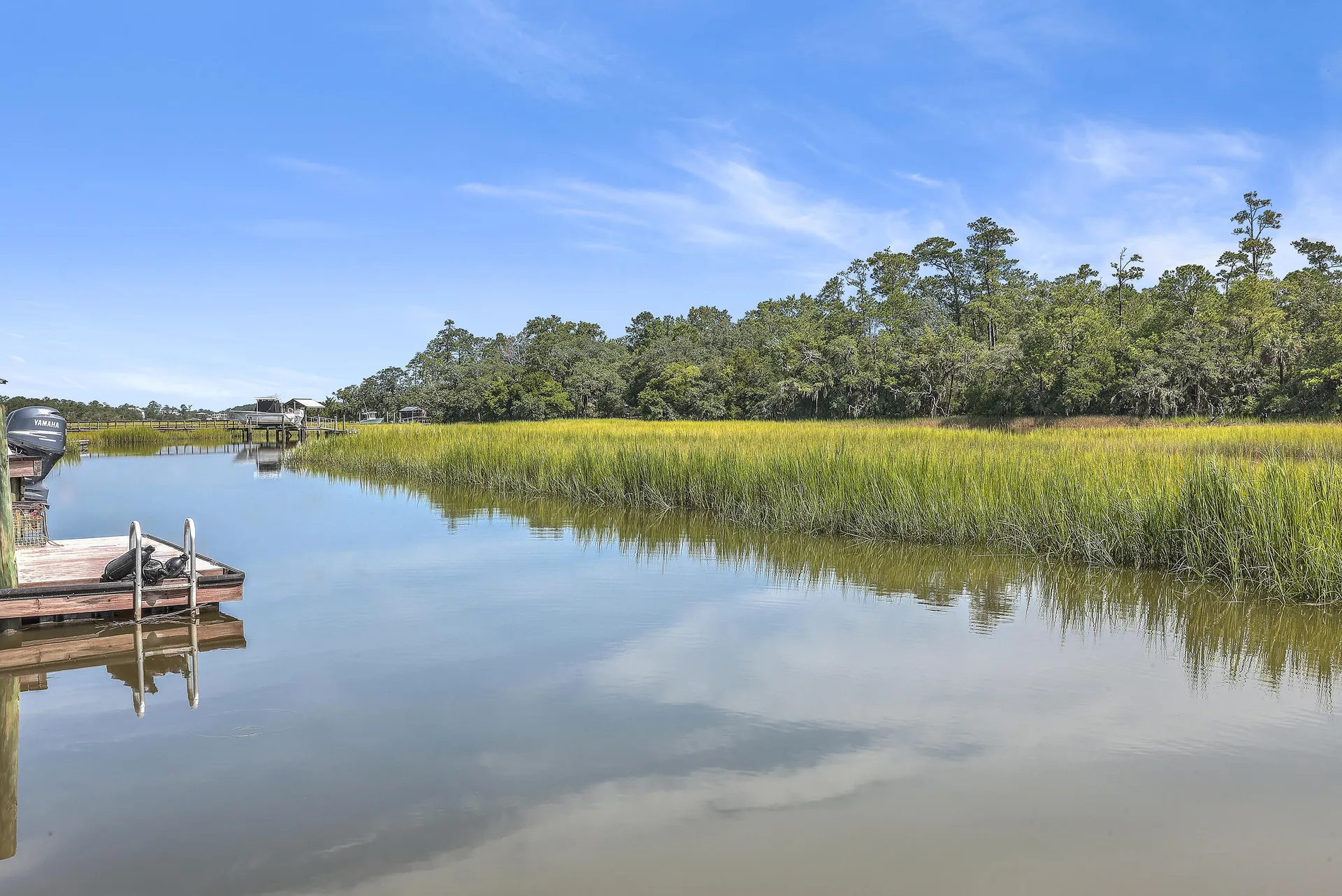 Property image 3 at 1374 Black River Drive, Mount Pleasant, SC 29466