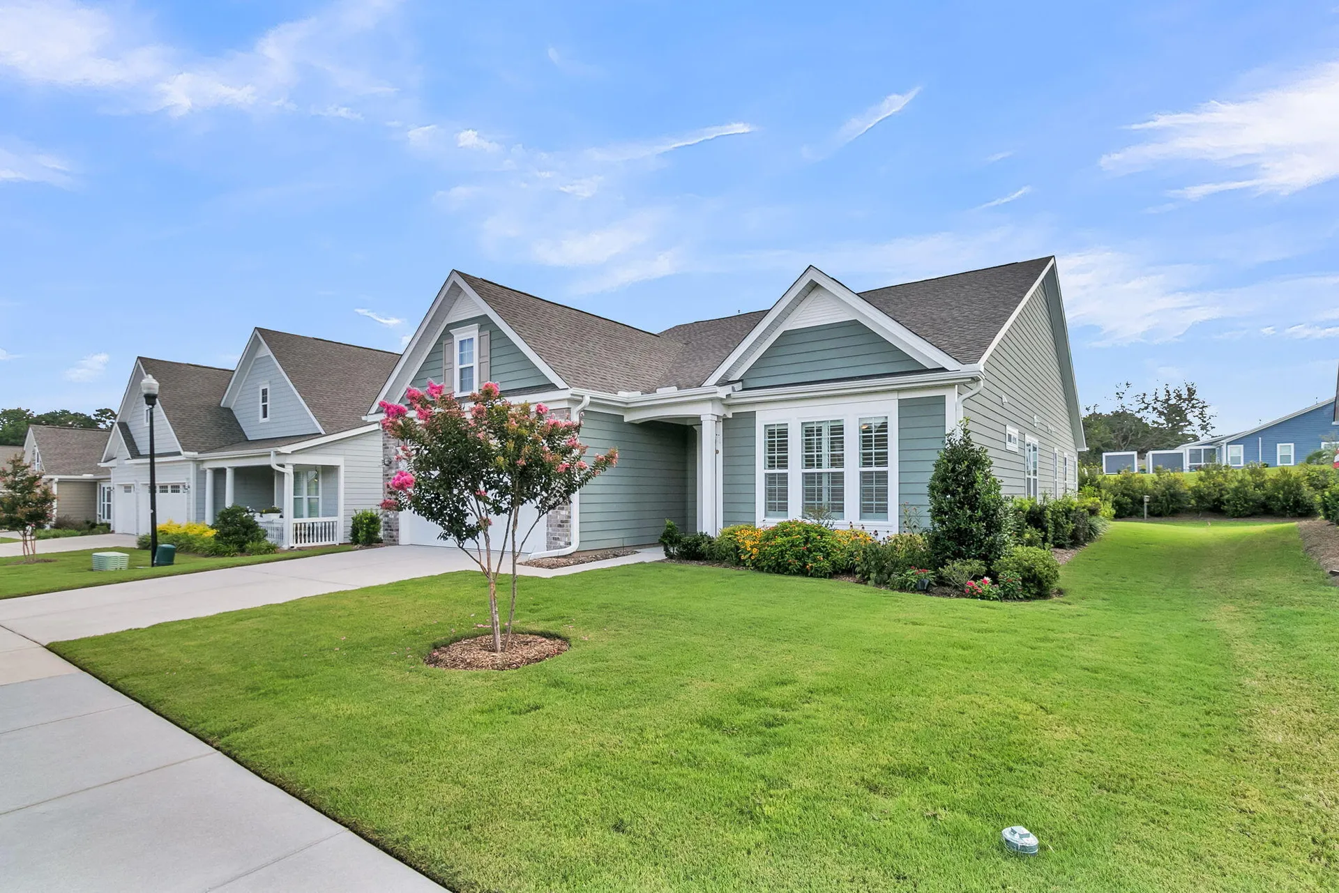 Property image 3 at 147 Citrea Drive, Summerville, SC 29483