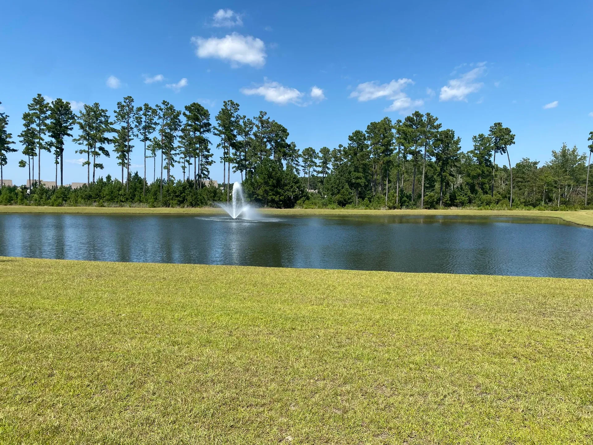 Property image 3 at 174 Whaler Avenue, Summerville, SC 29486