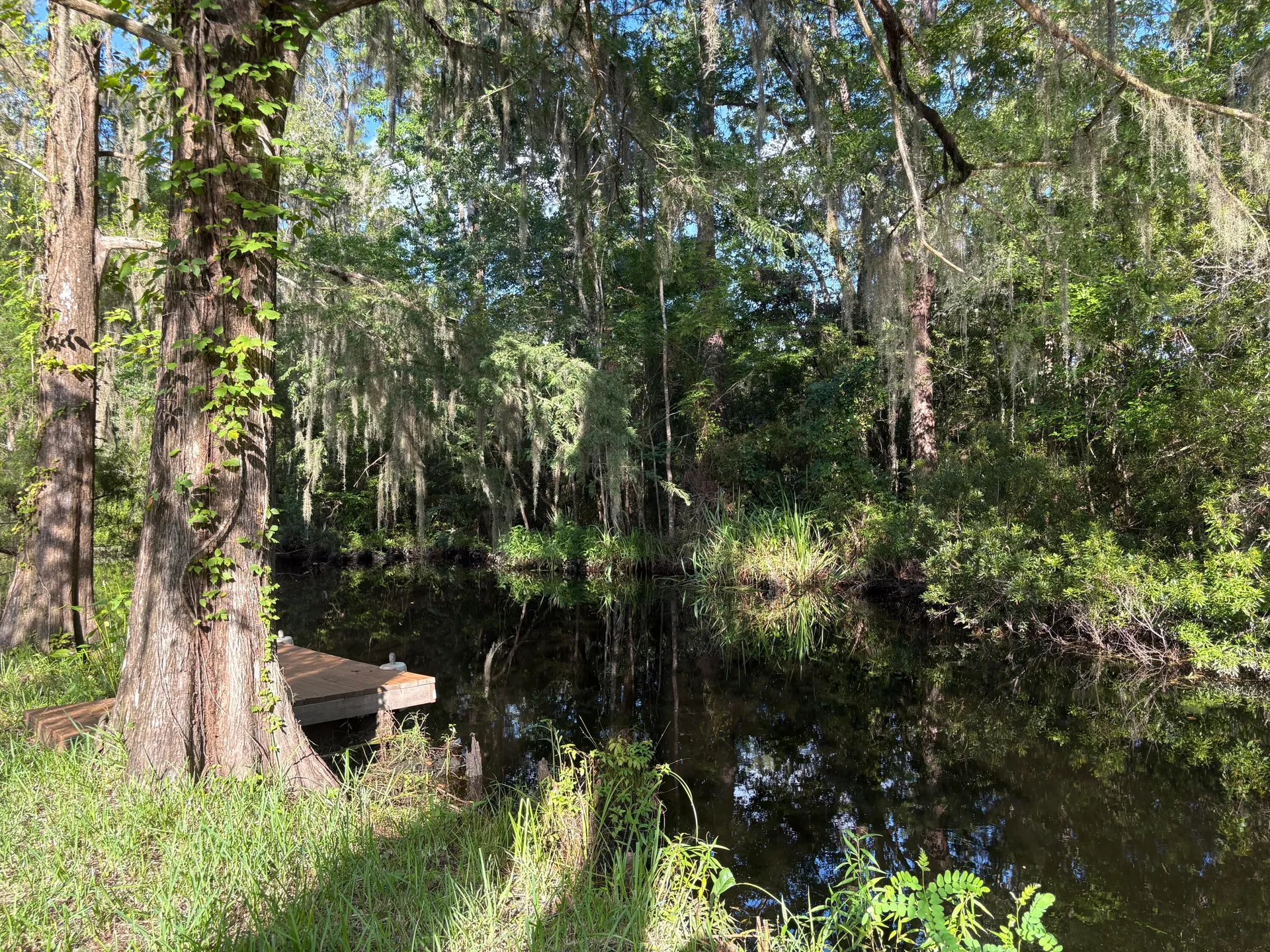 Property image 2 at 3323 Prices Bridge Lane, Walterboro, SC 29488