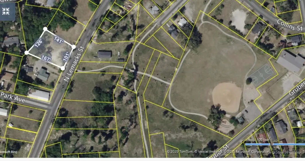 Property image 5 at 911 N Lemacks Street, Walterboro, SC 29488