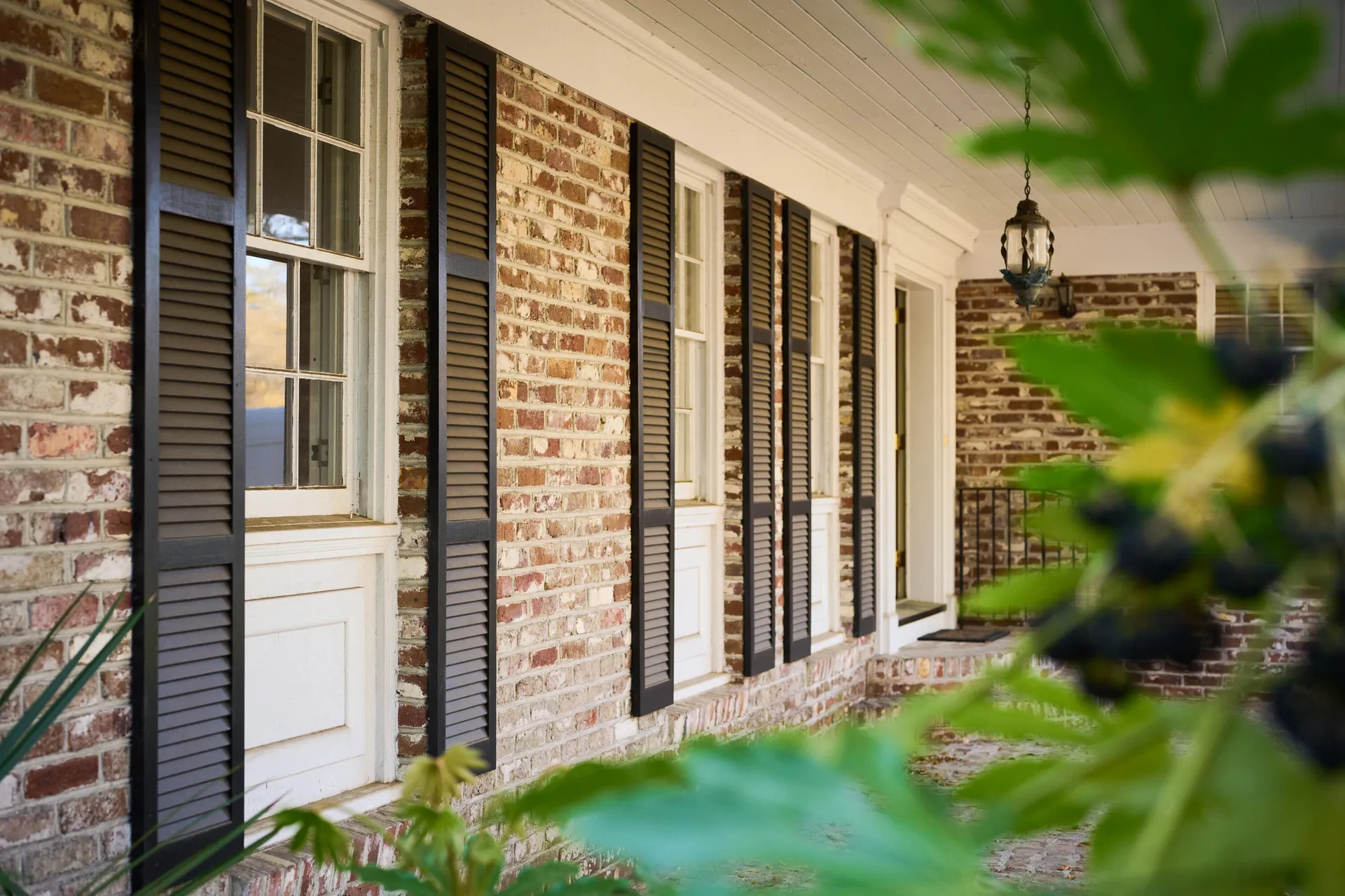 Property image 2 at 731 Pitt Street, Mount Pleasant, SC 29464