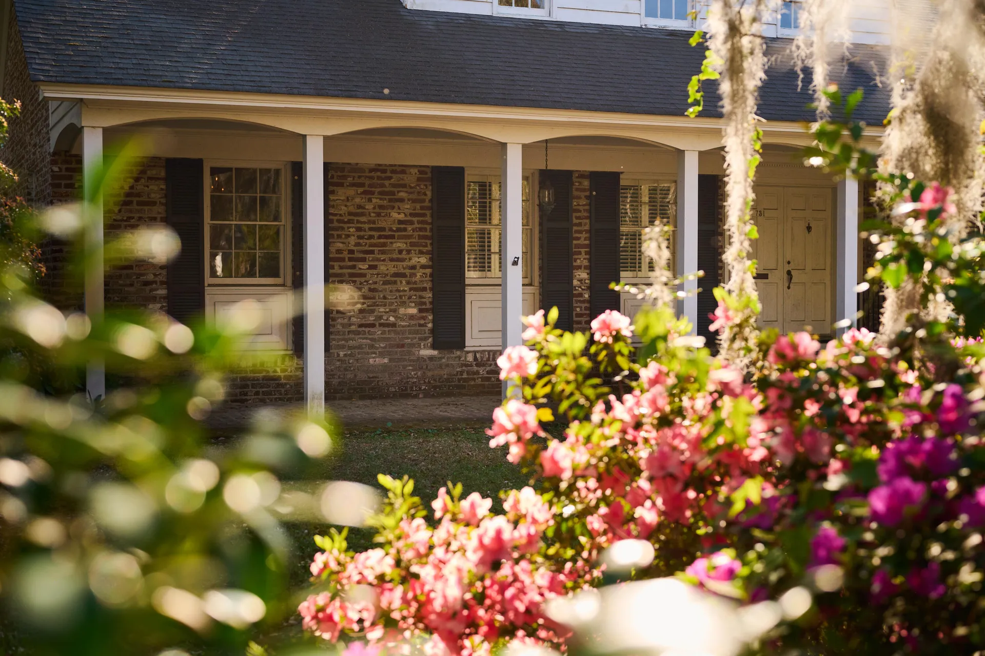 Property image 5 at 731 Pitt Street, Mount Pleasant, SC 29464
