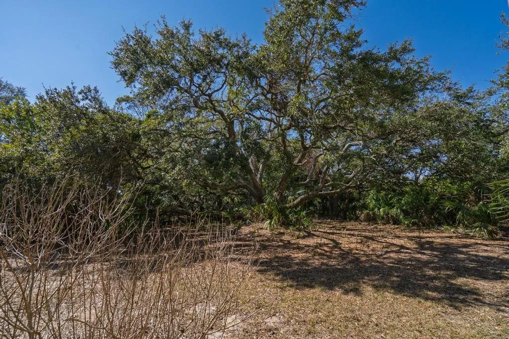 Property image 5 at 2710 Laroche Street, Edisto Beach, SC 29438