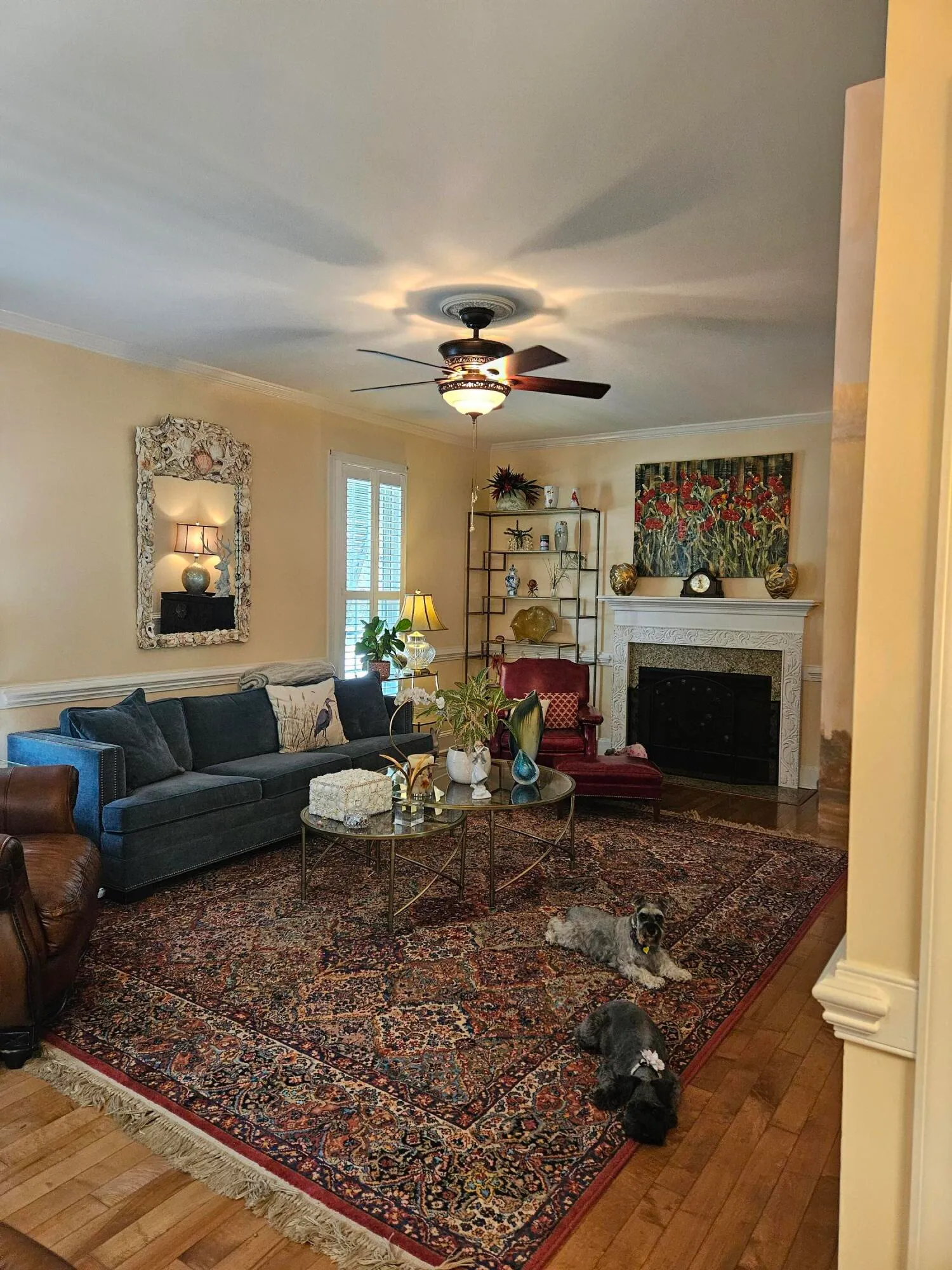 Property image 4 at 1050 Loyalist Lane, Mount Pleasant, SC 29464