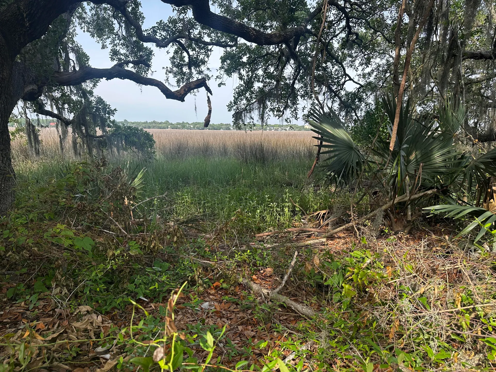 Property image 2 at 2342 Parsonage Road, Charleston, SC 29414