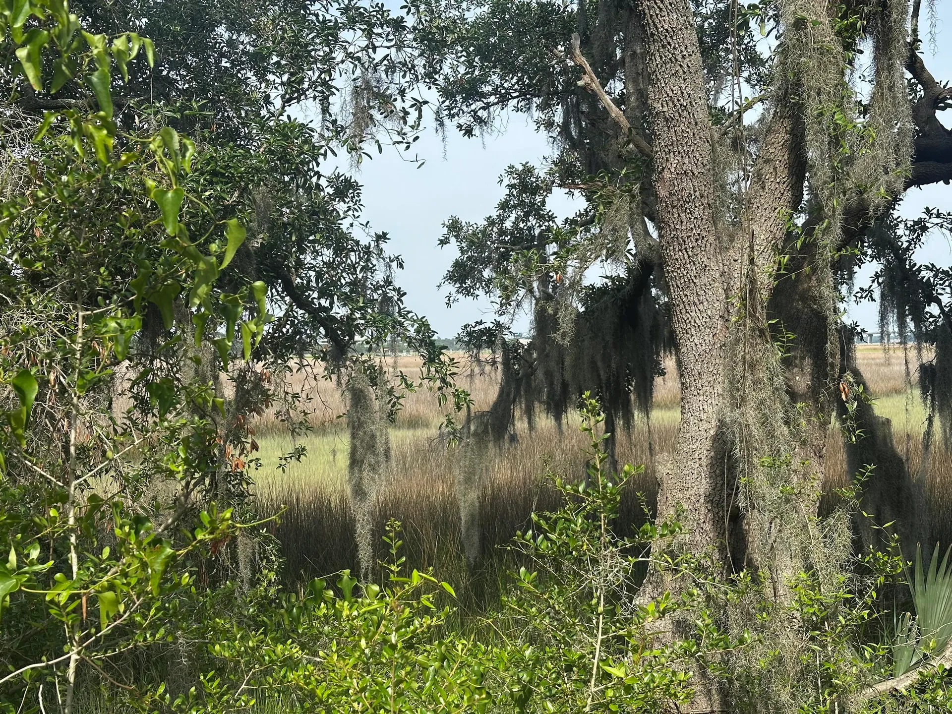 Property image 5 at 2342 Parsonage Road, Charleston, SC 29414