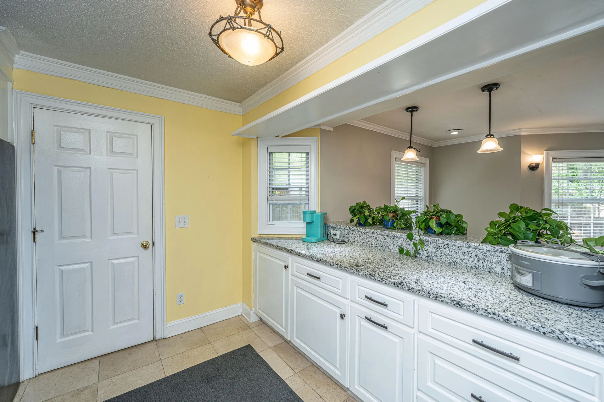Property image 5 at 100 Nighthawk Lane, Summerville, SC 29485