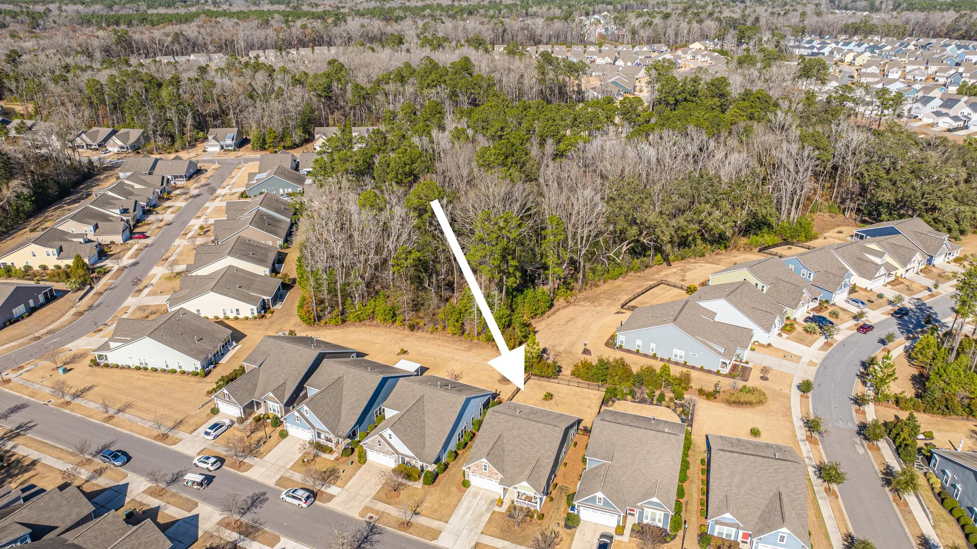 Property image 3 at 3034 Cross Vine Lane, Summerville, SC 29483