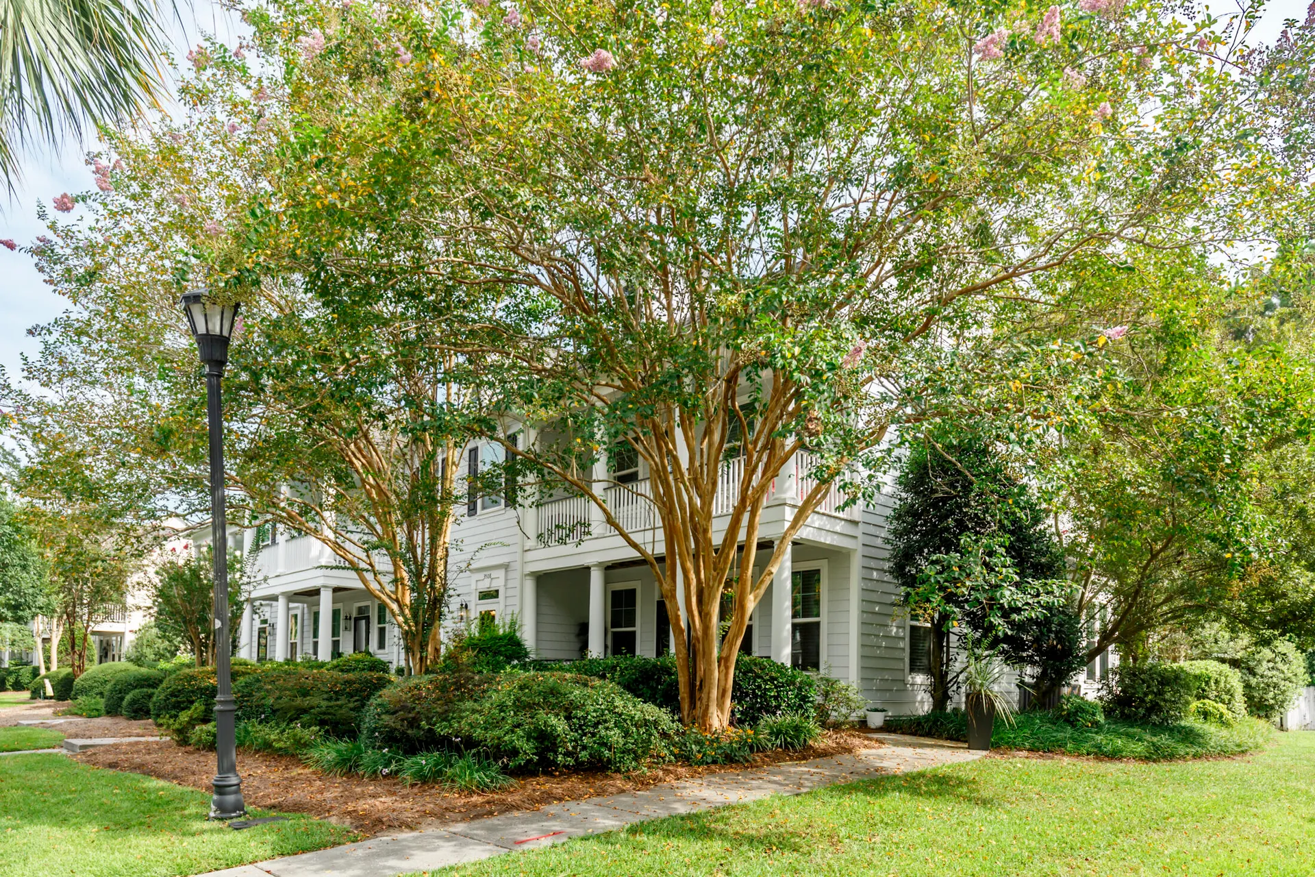 Property image 2 at 3512 Billings Street, Mount Pleasant, SC 29464