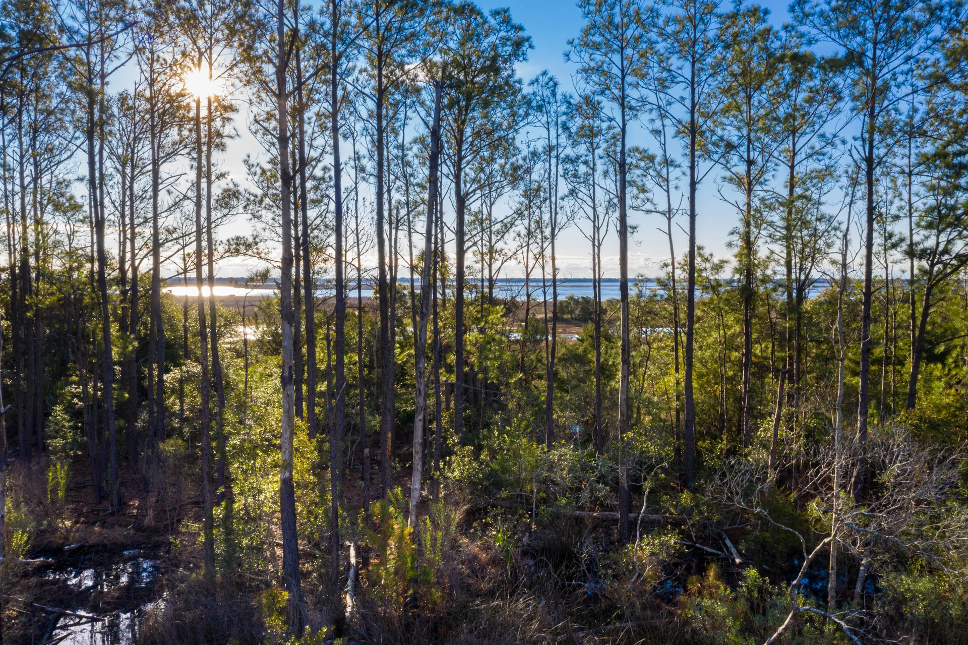 Property image 2 at 1742 Cultivation Lane 531, Mount Pleasant, SC 29466