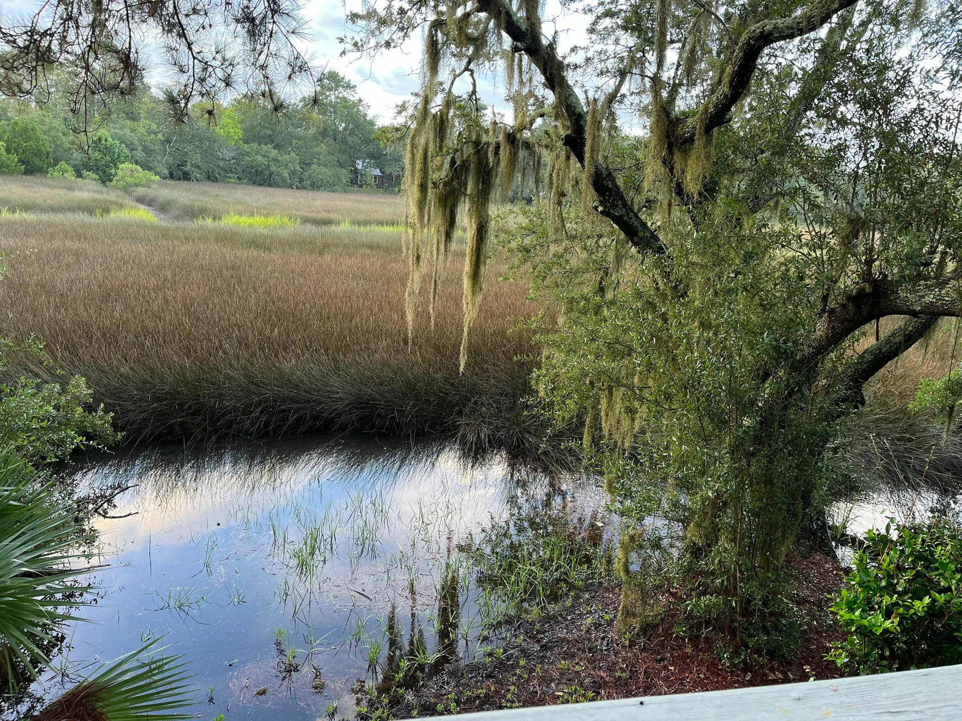 Marsh Pointe, Mount Pleasant Community
