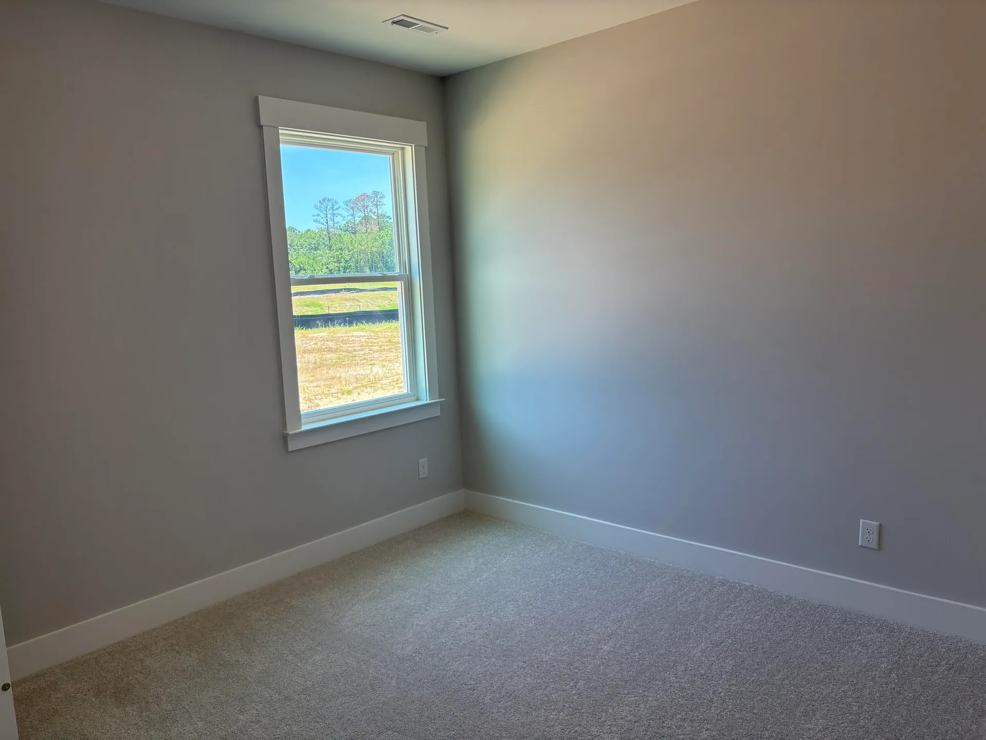 Property image 4 at 119 Palfrey Drive, Ridgeville, SC 29472