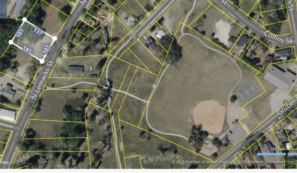 Property image 5 at 913 N Lemacks Street, Walterboro, SC 29488
